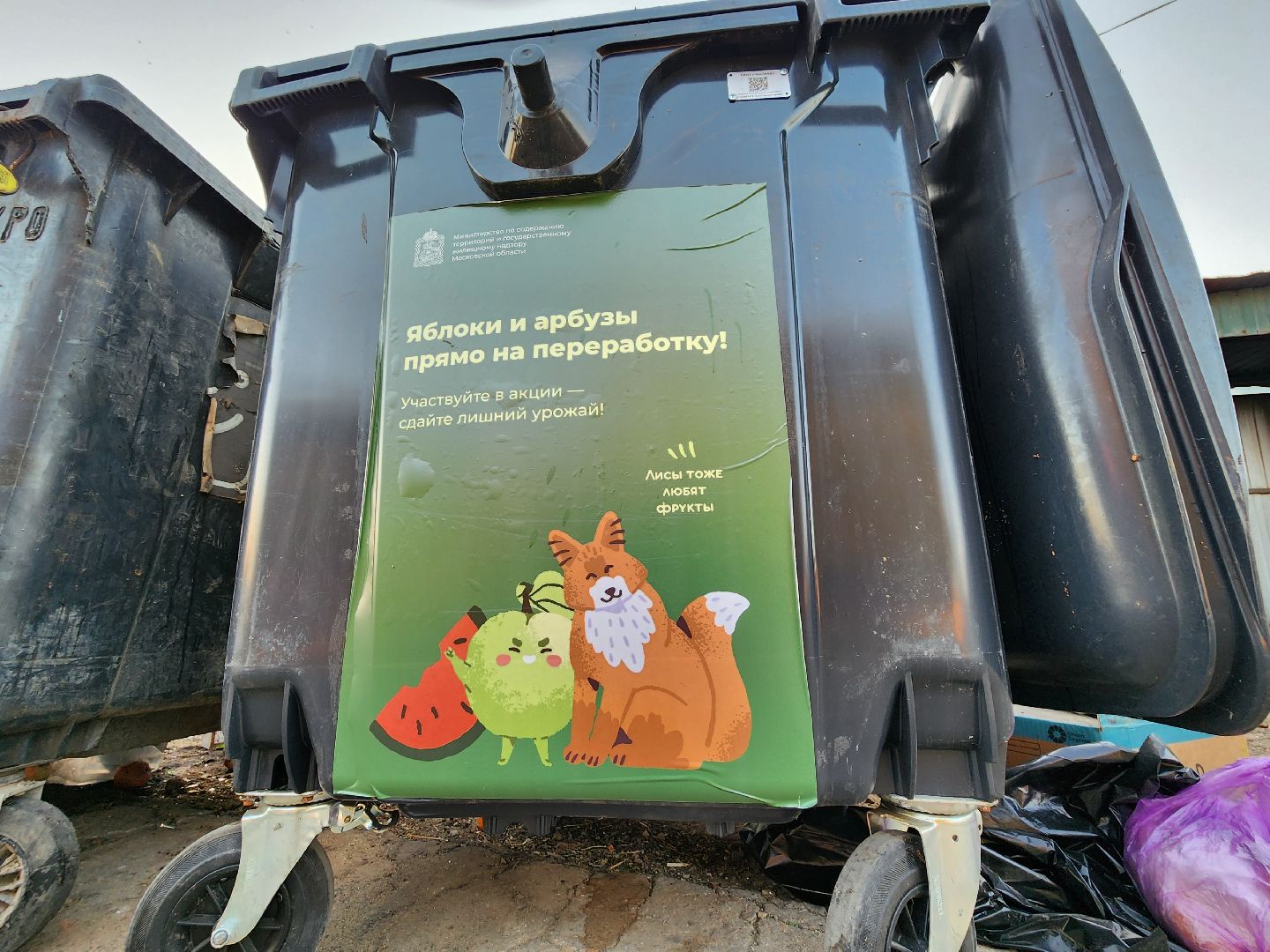 Сдай яблоки и бахчевые на переработку, Акция по утилизации излишков урожая, Сдай яблоки в Ленинском, минсельхоз,