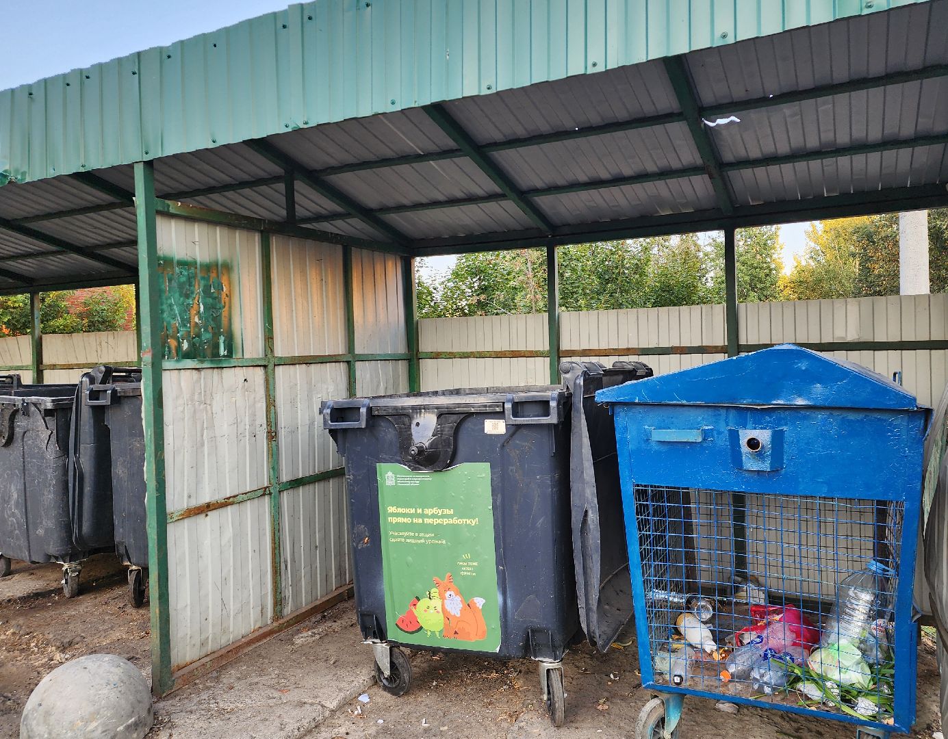 Сдай яблоки и бахчевые на переработку, Акция по утилизации излишков урожая, Сдай яблоки в Ленинском, минсельхоз,