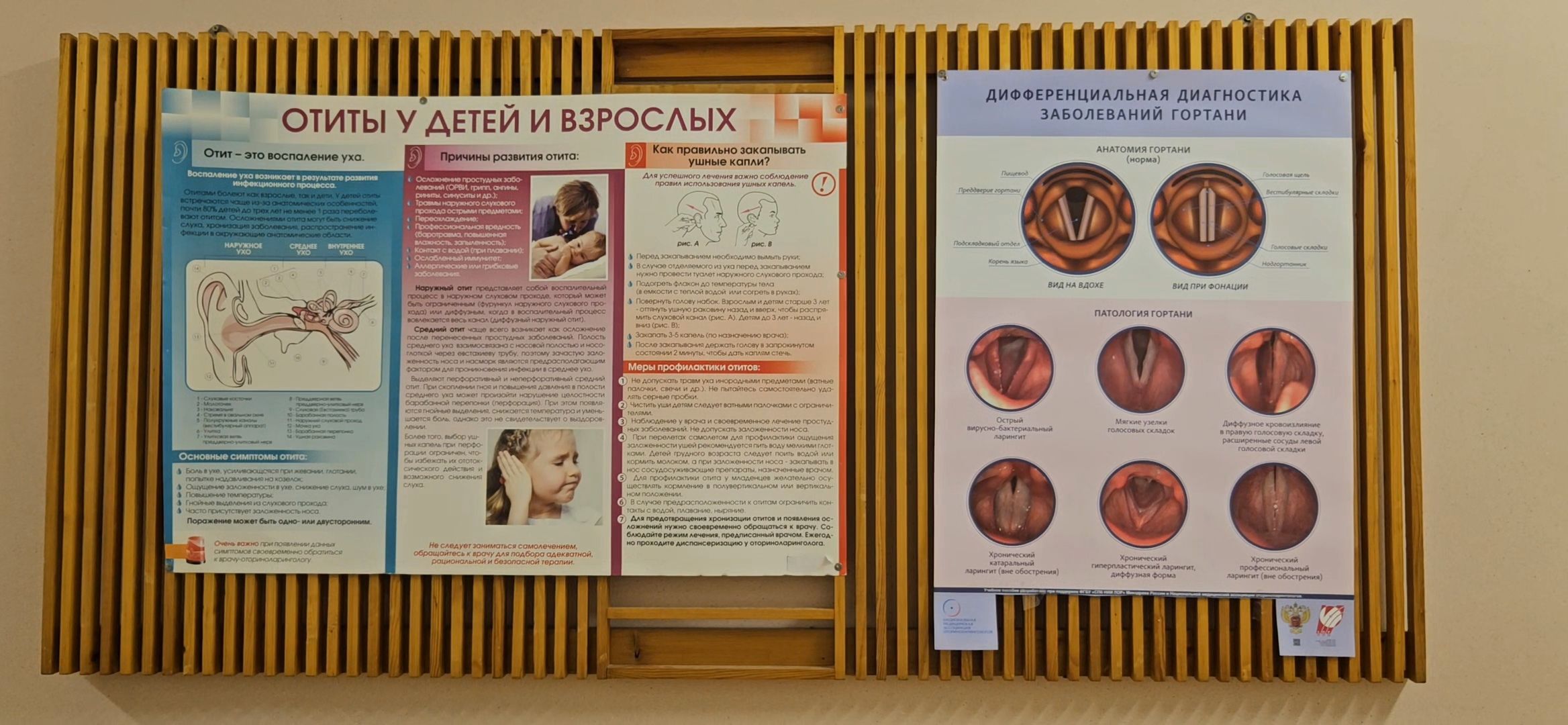 врач, лор-заболевания, жуковский, больница, медицина,