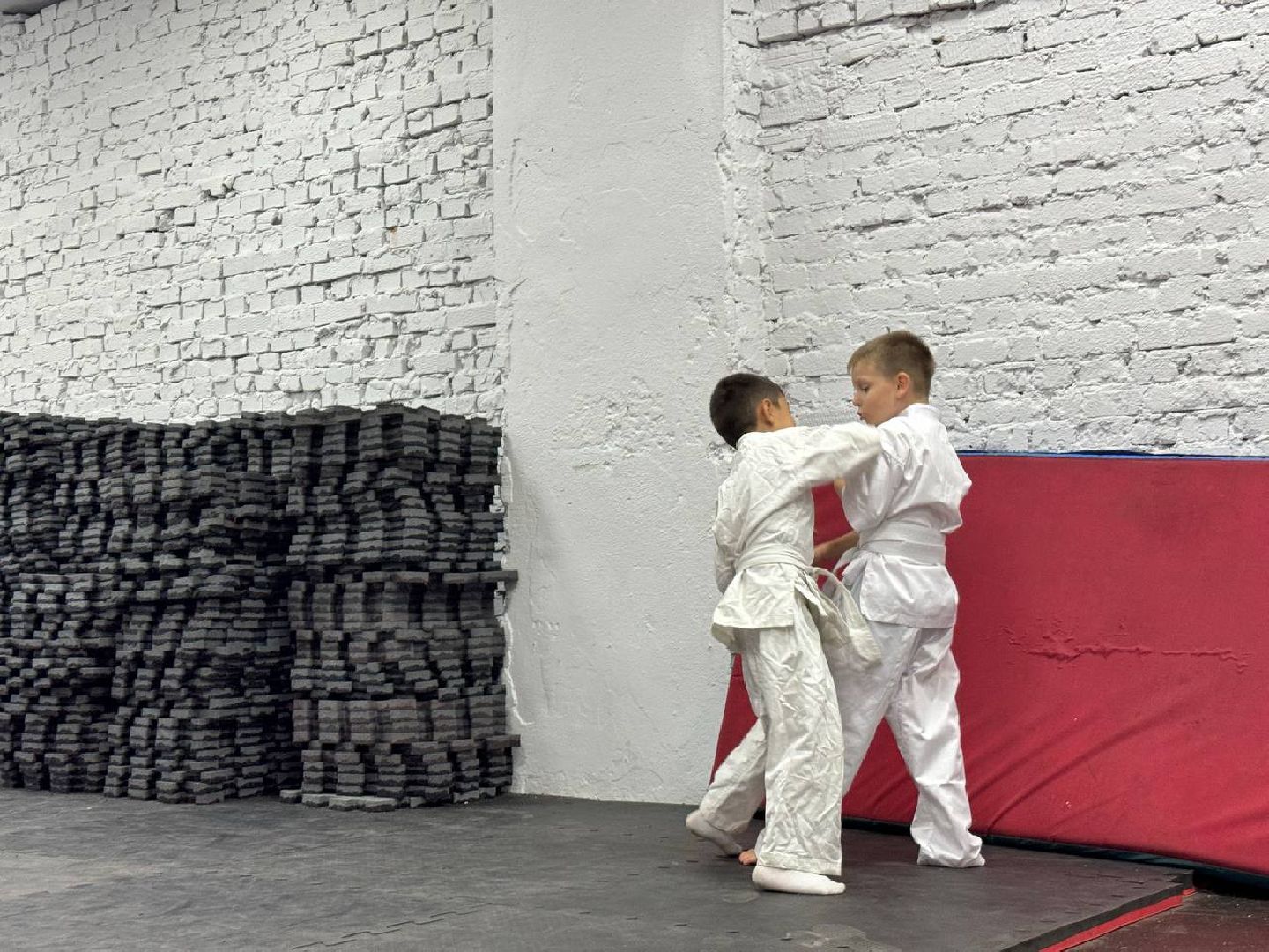 Синкекусинкай, секция, каратэ, городской округ восход,