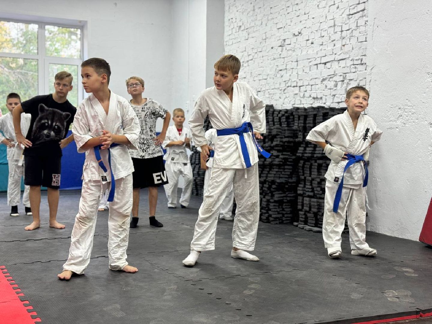 Синкекусинкай, секция, каратэ, городской округ восход,