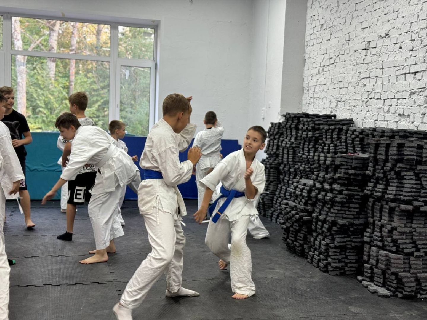 Синкекусинкай, секция, каратэ, городской округ восход,