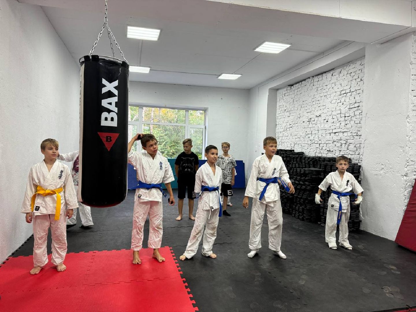 Синкекусинкай, секция, каратэ, городской округ восход,