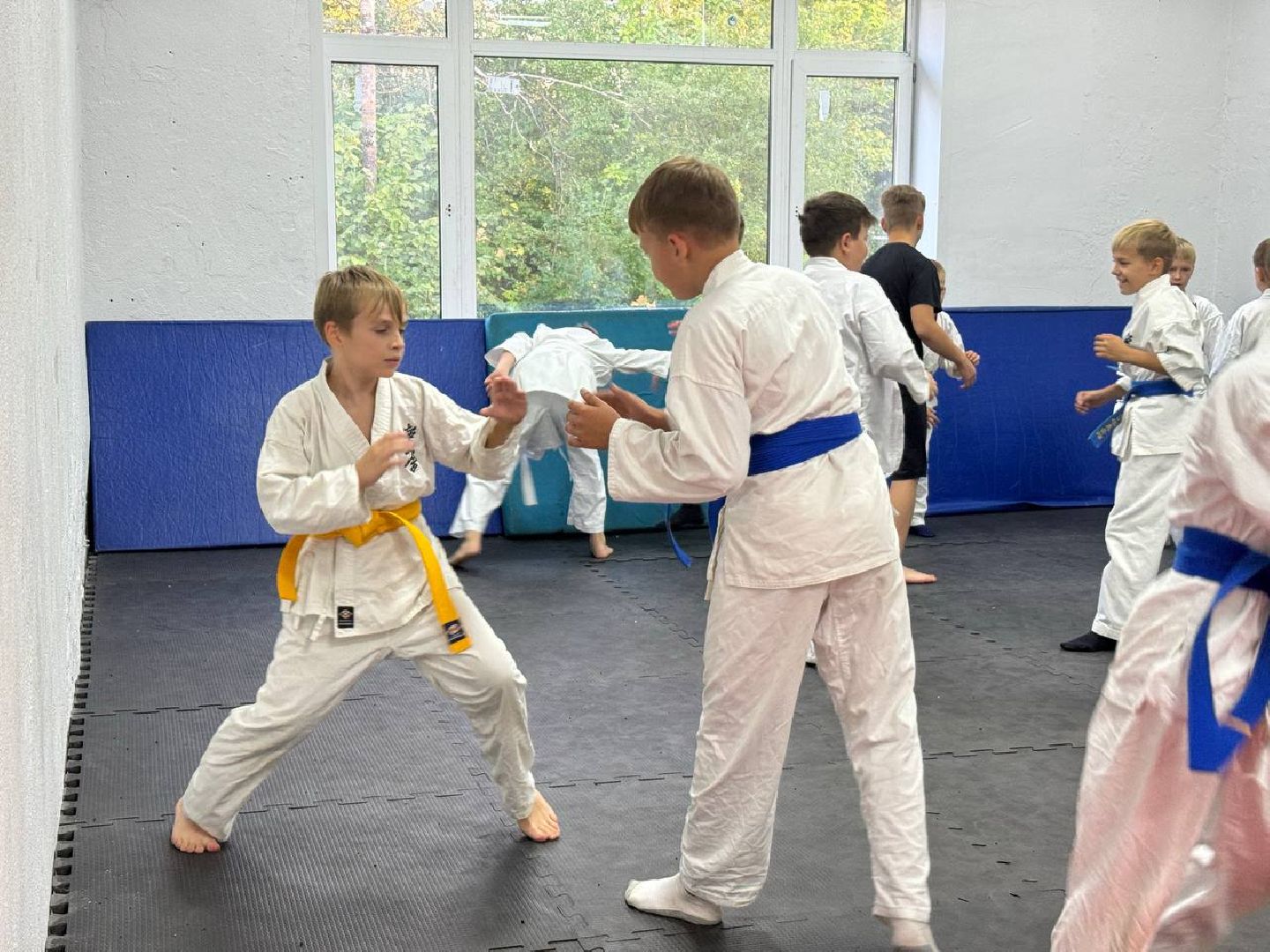 Синкекусинкай, секция, каратэ, городской округ восход,