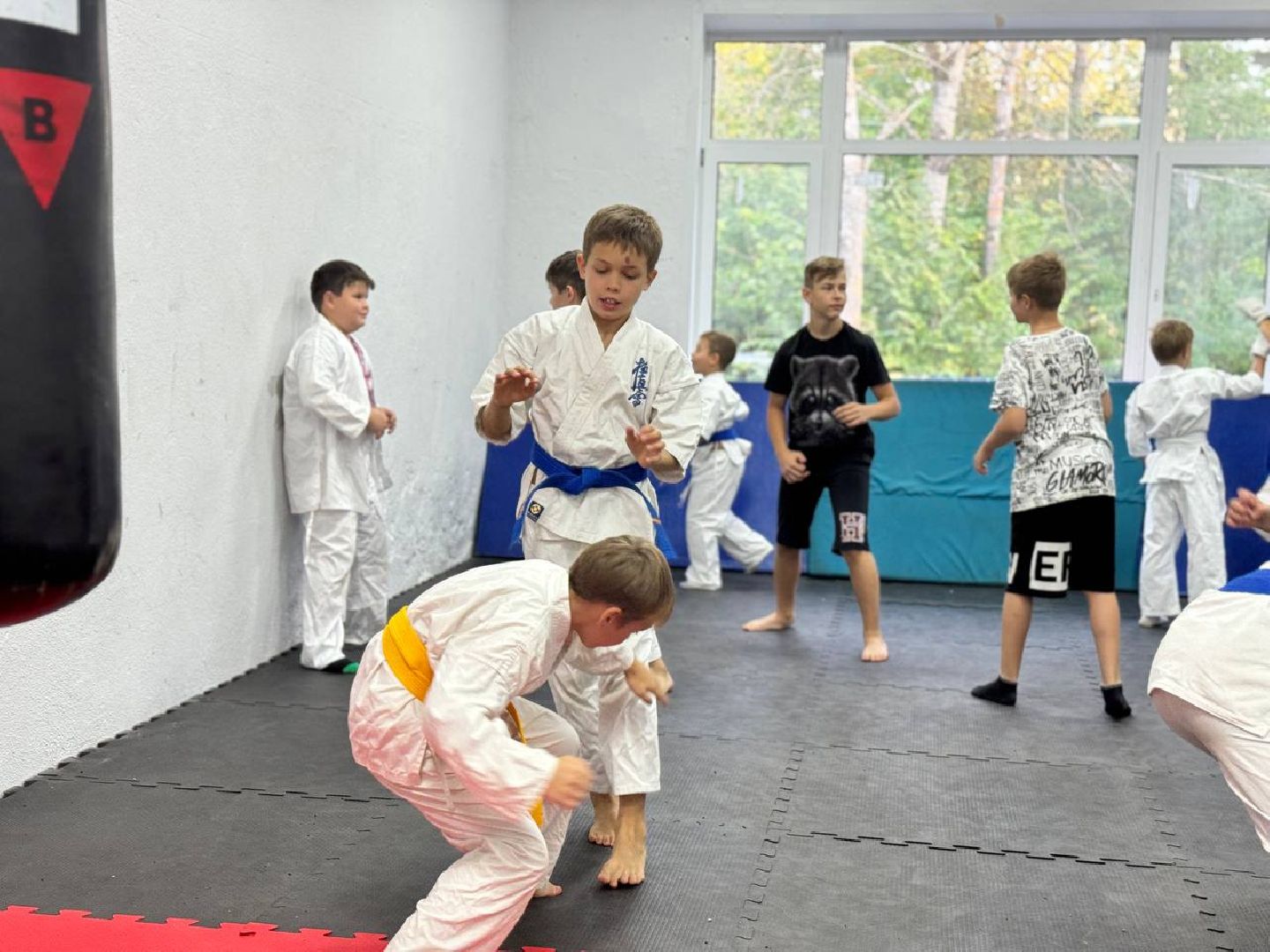 Синкекусинкай, секция, каратэ, городской округ восход,