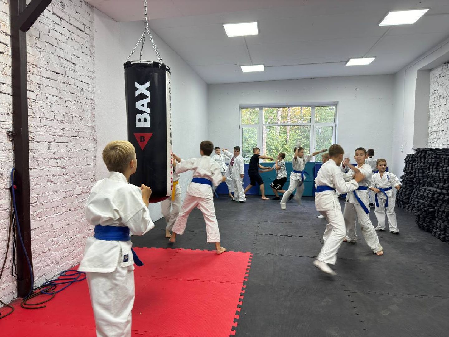 Синкекусинкай, секция, каратэ, городской округ восход,