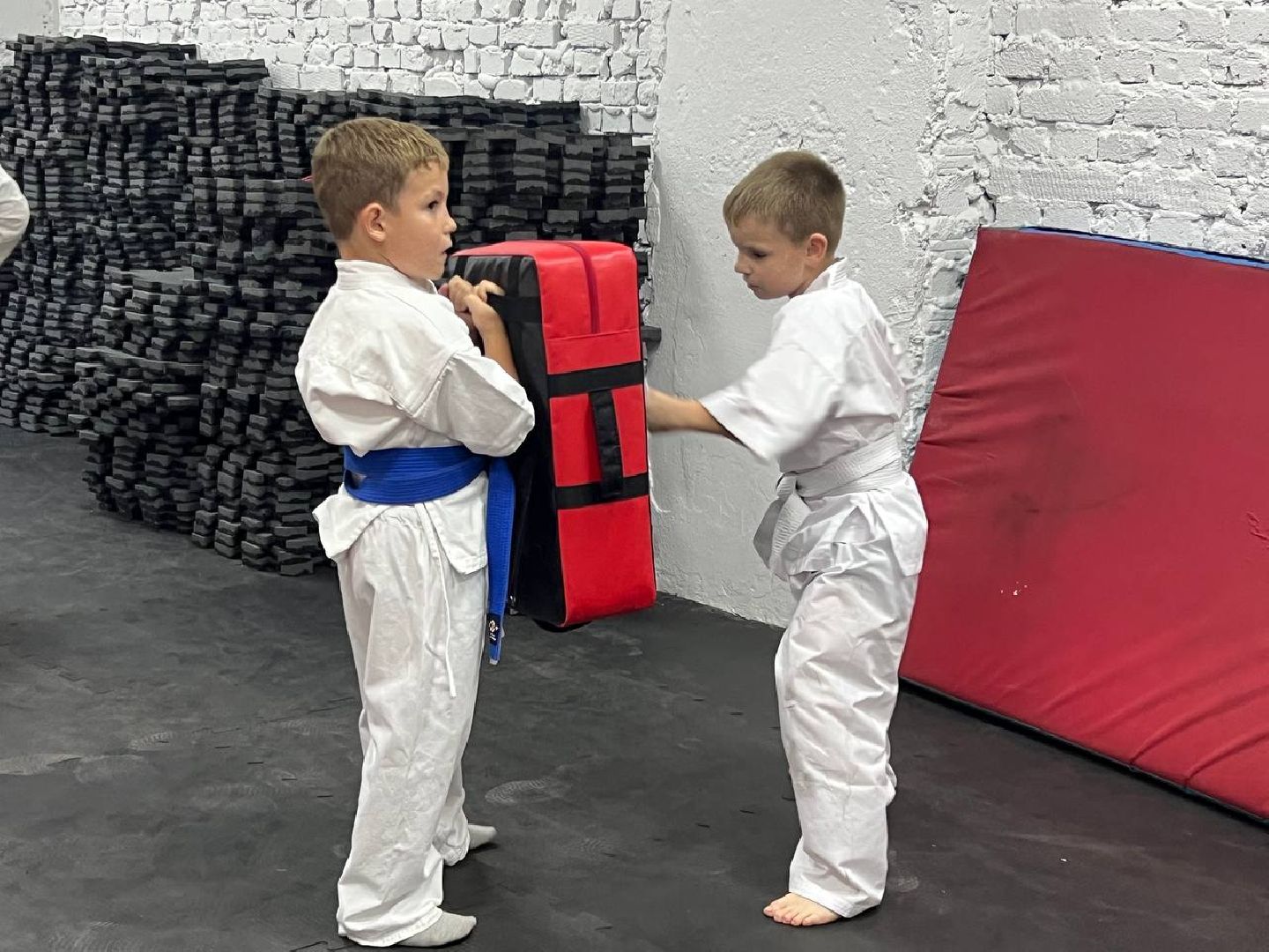 Синкекусинкай, секция, каратэ, городской округ восход,