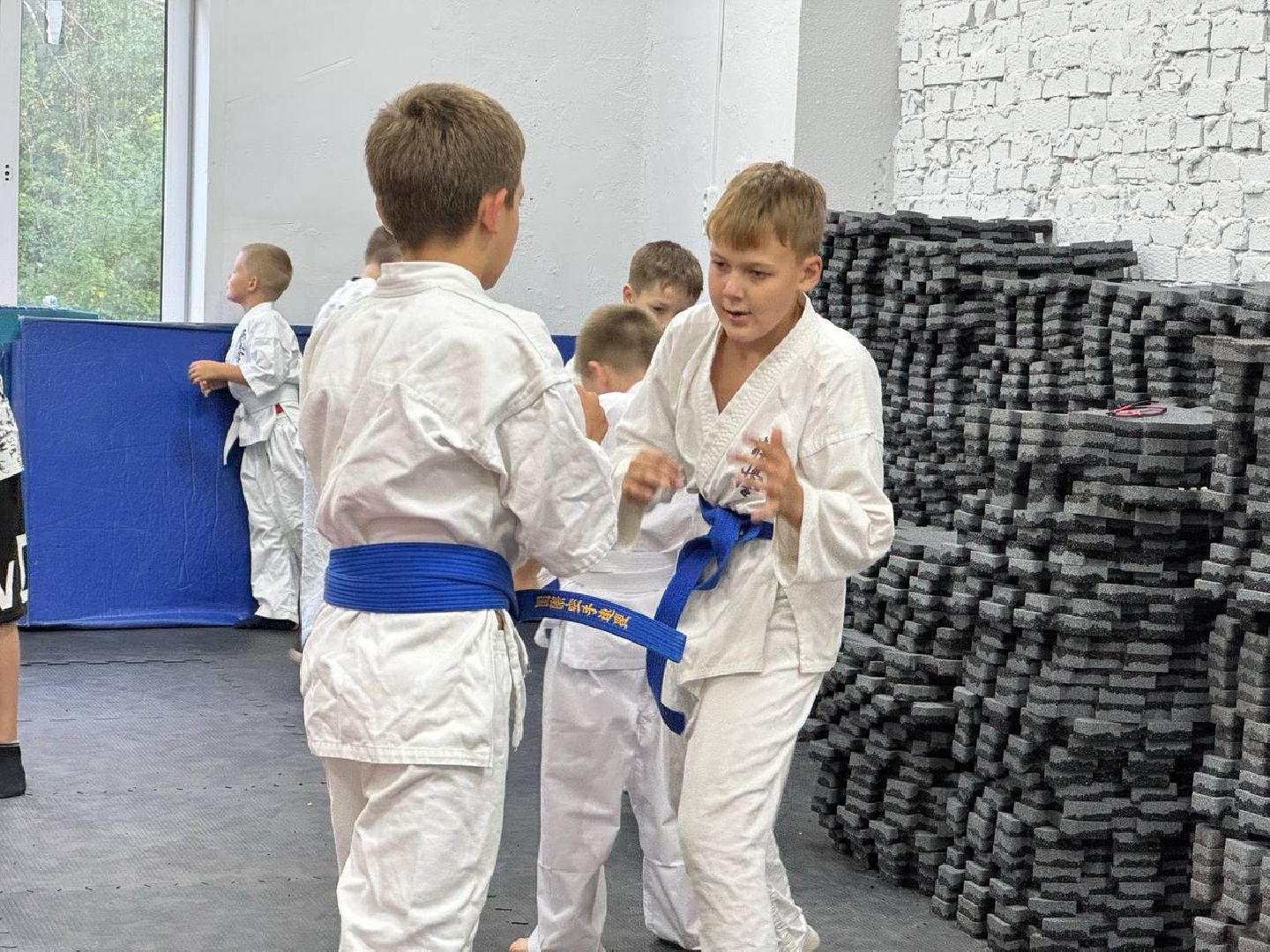 Синкекусинкай, секция, каратэ, городской округ восход,