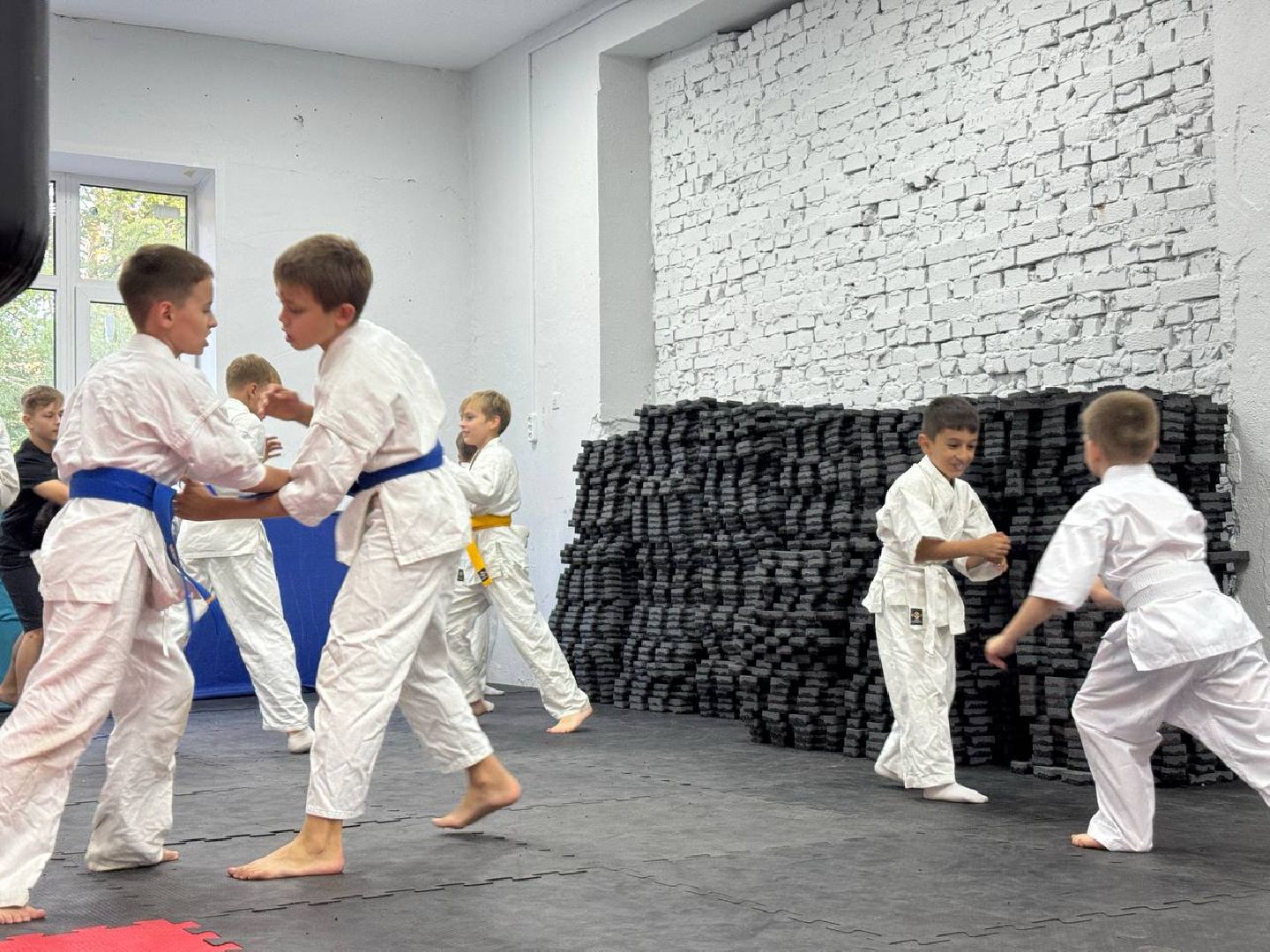 Синкекусинкай, секция, каратэ, городской округ восход,