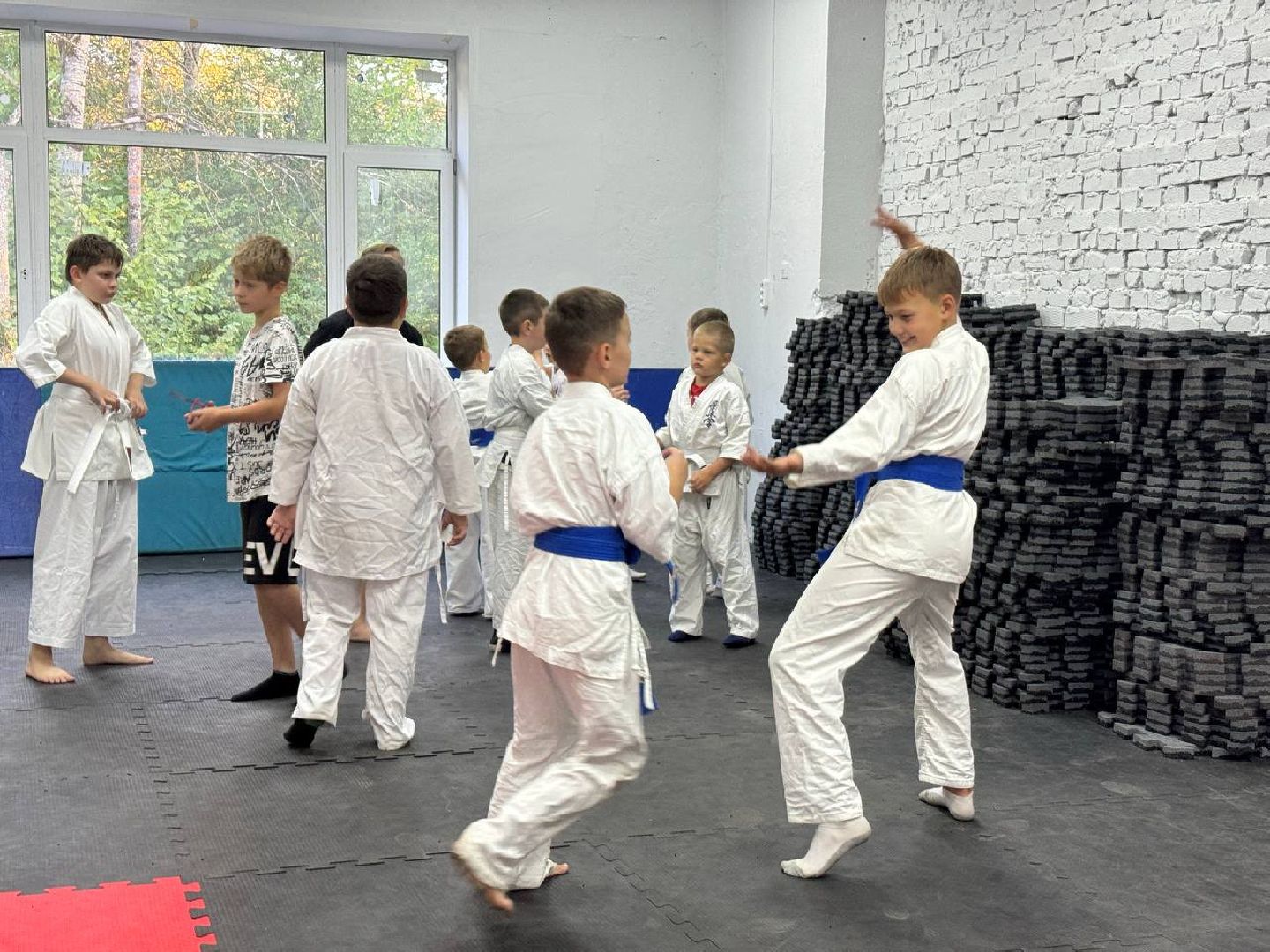 Синкекусинкай, секция, каратэ, городской округ восход,