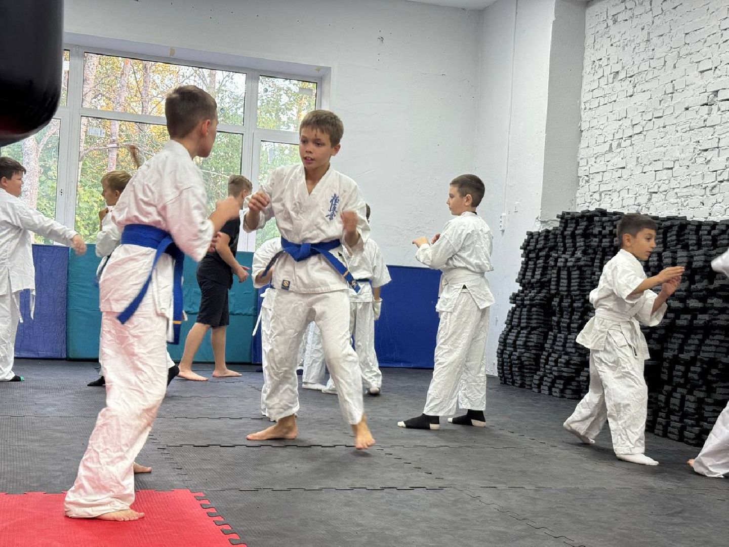 Синкекусинкай, секция, каратэ, городской округ восход,