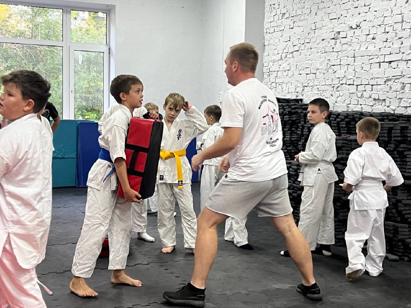 Синкекусинкай, секция, каратэ, городской округ восход,