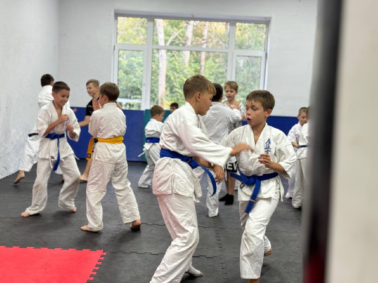 Синкекусинкай, секция, каратэ, городской округ восход,