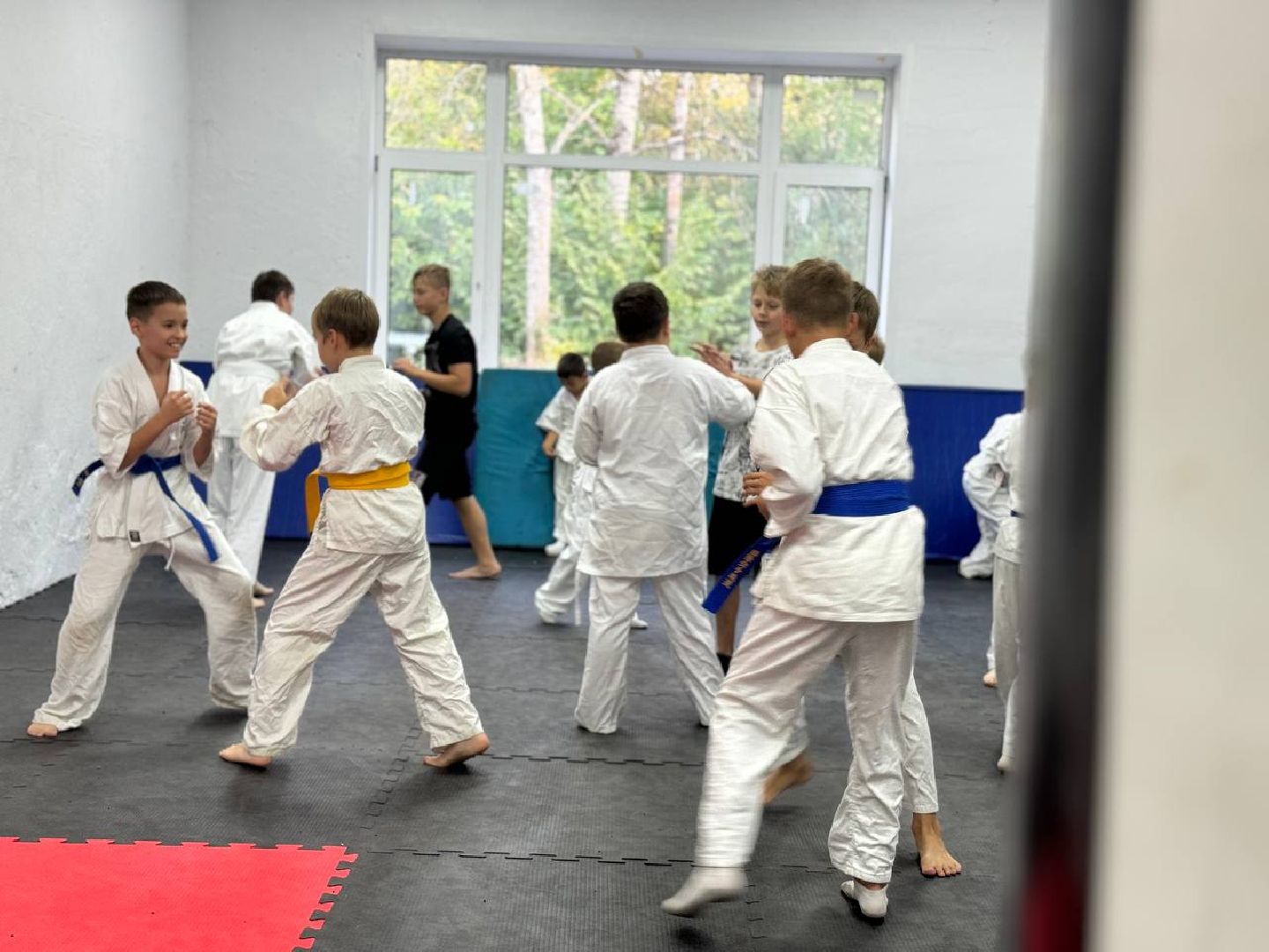 Синкекусинкай, секция, каратэ, городской округ восход,