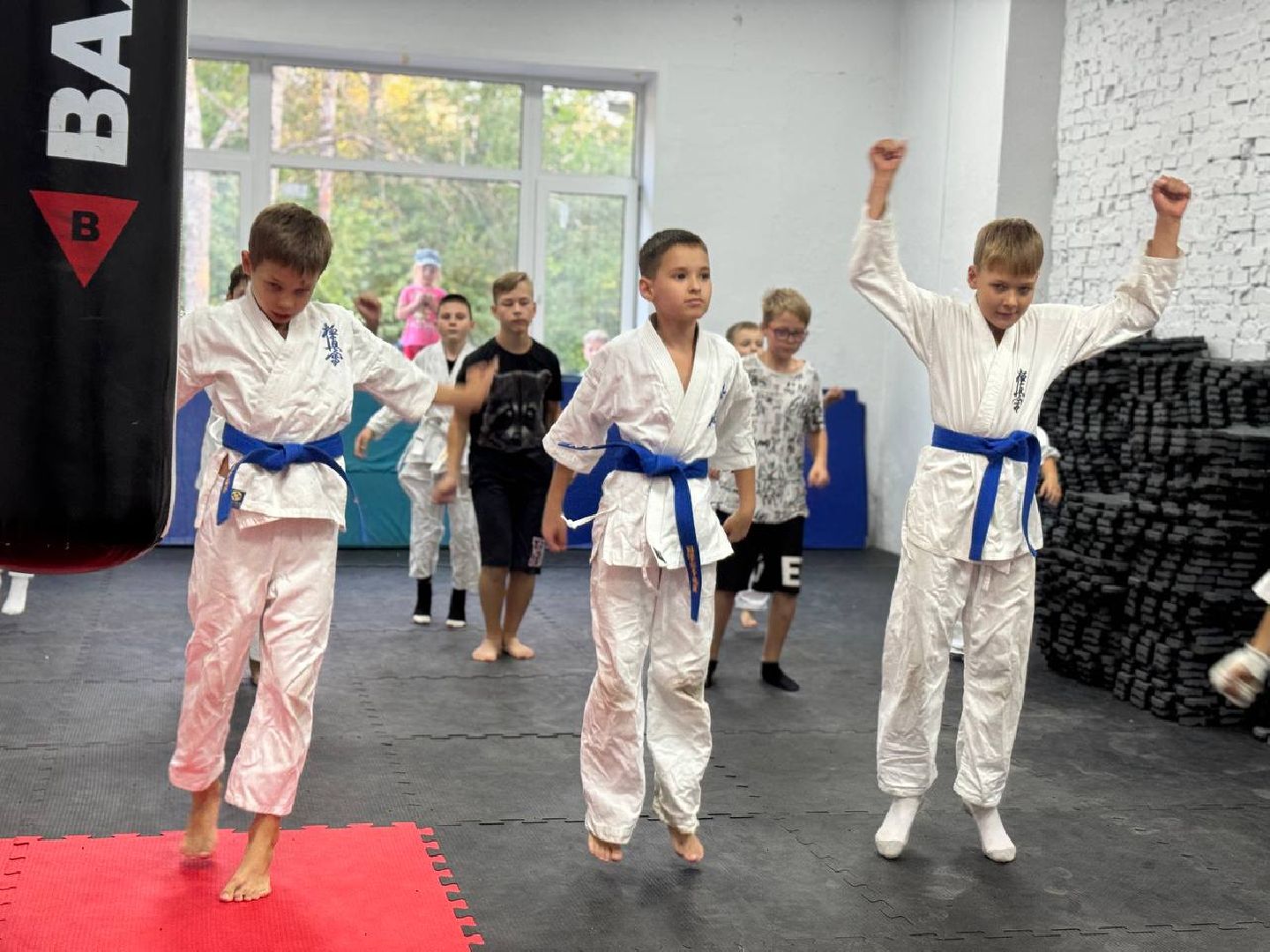 Синкекусинкай, секция, каратэ, городской округ восход,