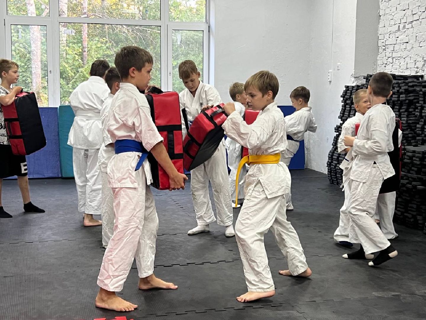 Синкекусинкай, секция, каратэ, городской округ восход,