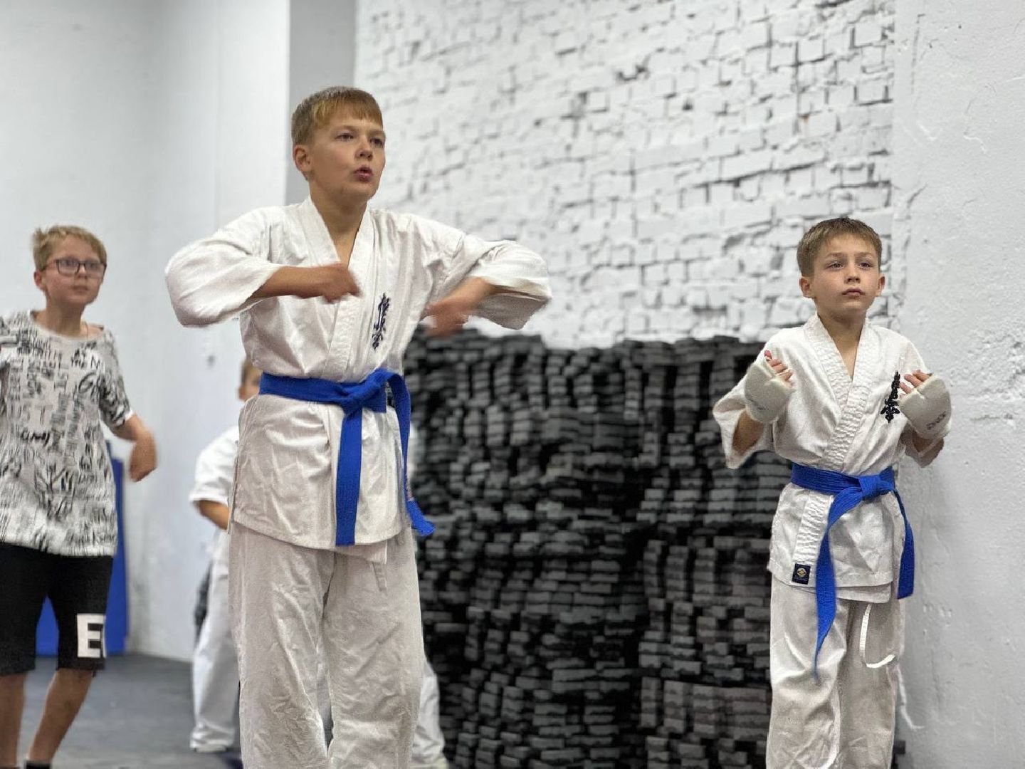 Синкекусинкай, секция, каратэ, городской округ восход,