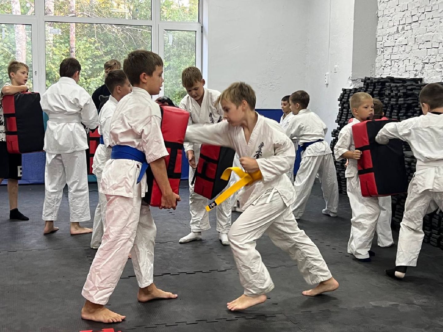 Синкекусинкай, секция, каратэ, городской округ восход,