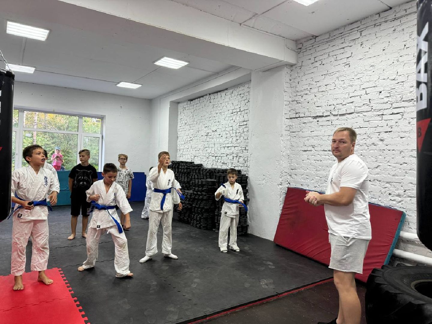 Синкекусинкай, секция, каратэ, городской округ восход,