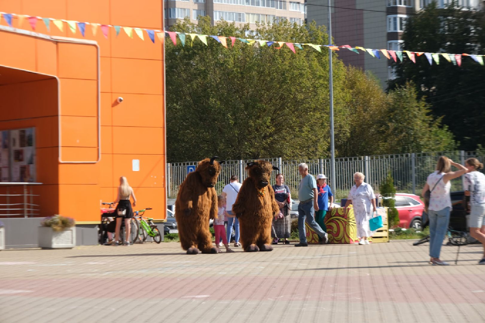 пущино, зубры, серпухов, приокско-террасный заповедник,