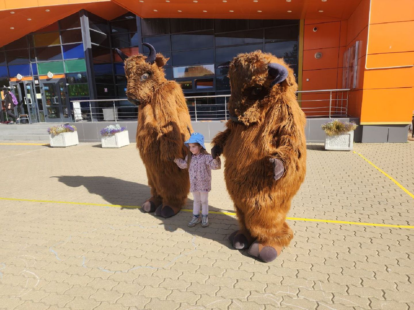 пущино, зубры, серпухов, приокско-террасный заповедник,