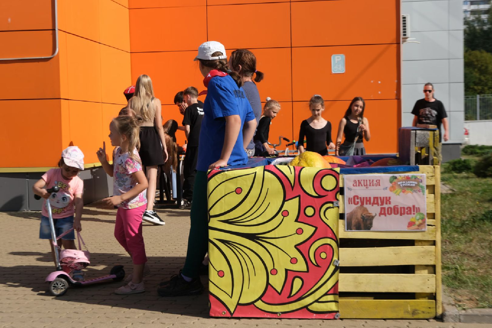 пущино, зубры, серпухов, приокско-террасный заповедник,