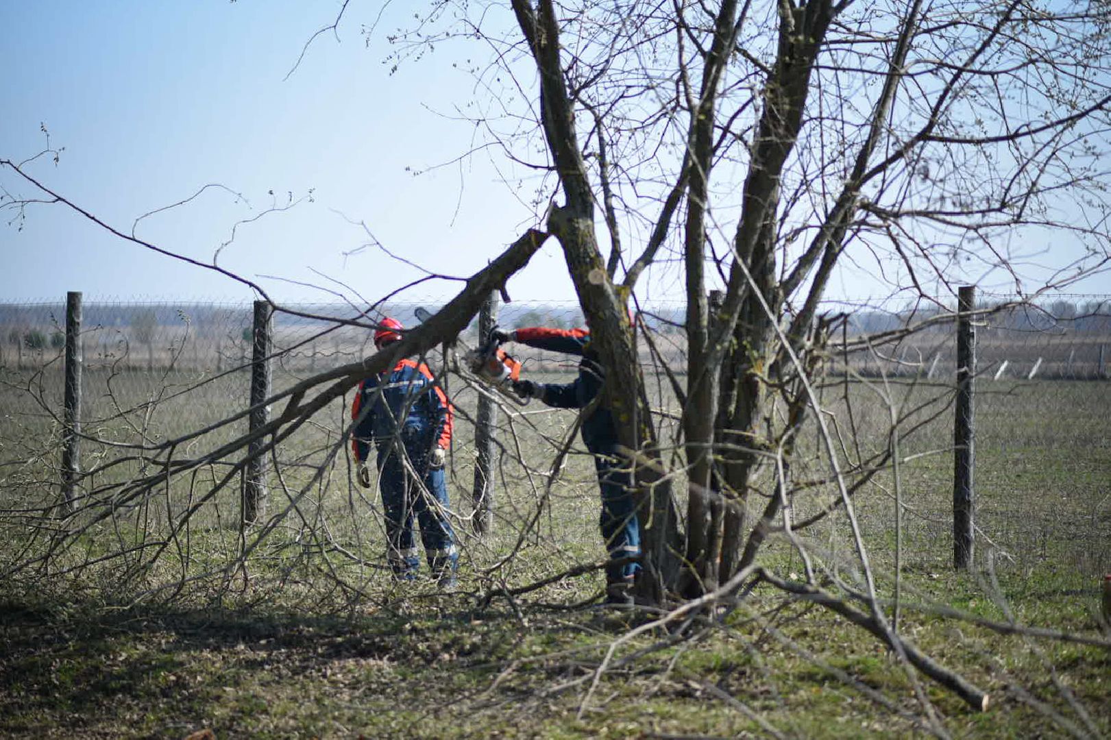 Луховицы, электропередачи