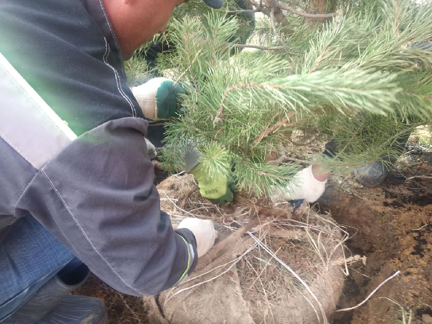 Дмитров, Остров надежды, Минсоцразвития МО