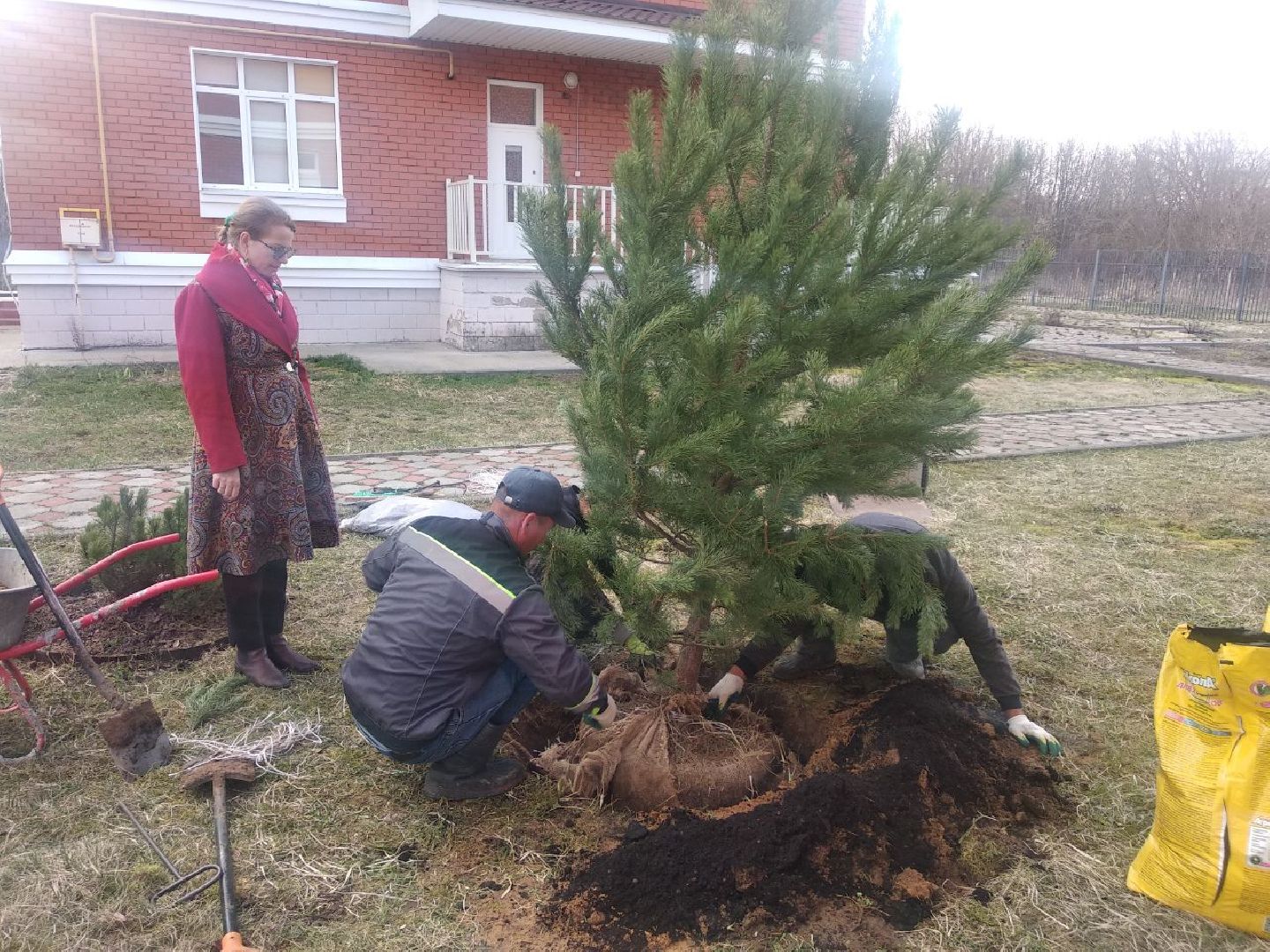 Дмитров, Остров надежды, Минсоцразвития МО