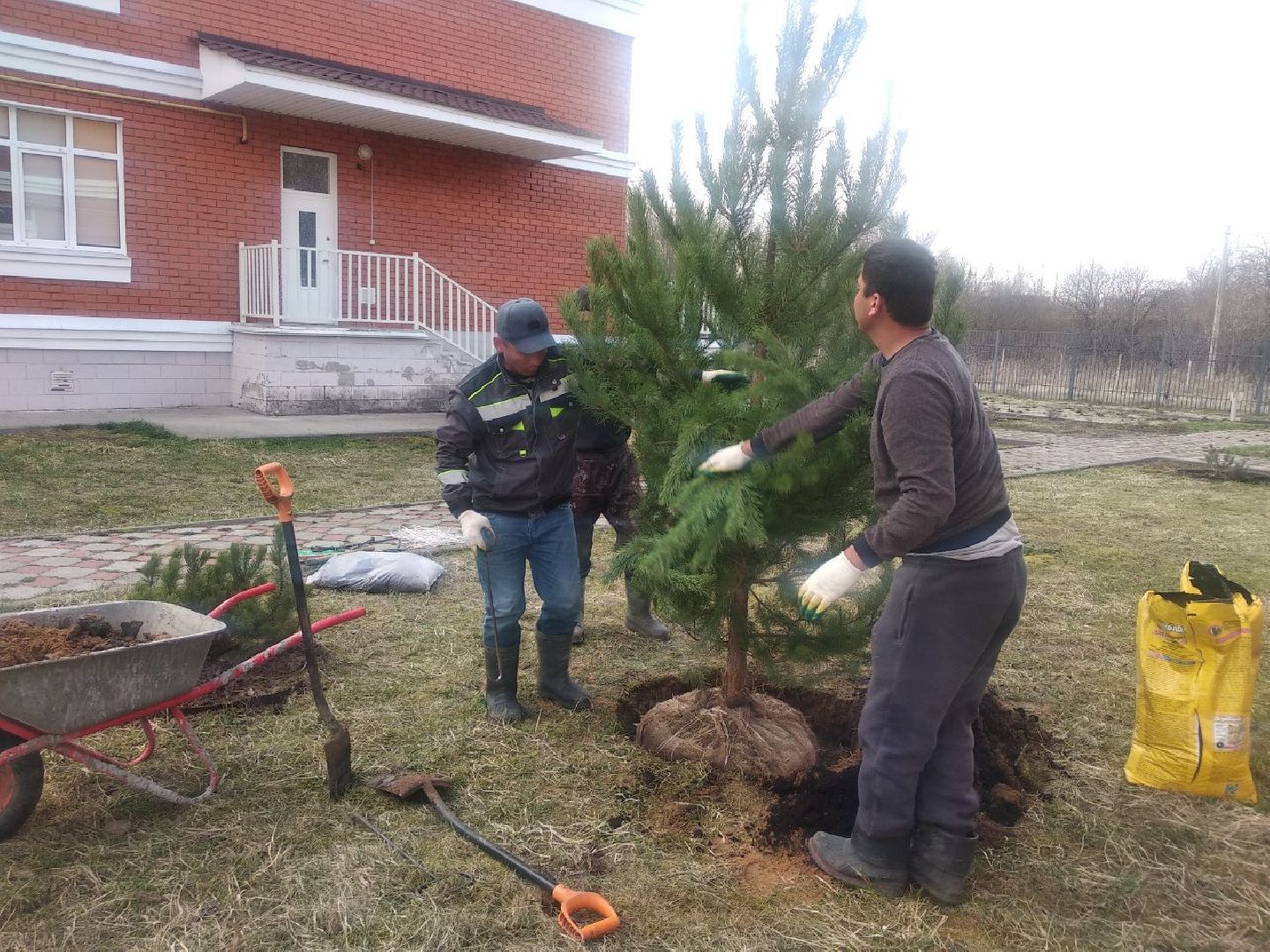 Дмитров, Остров надежды, Минсоцразвития МО