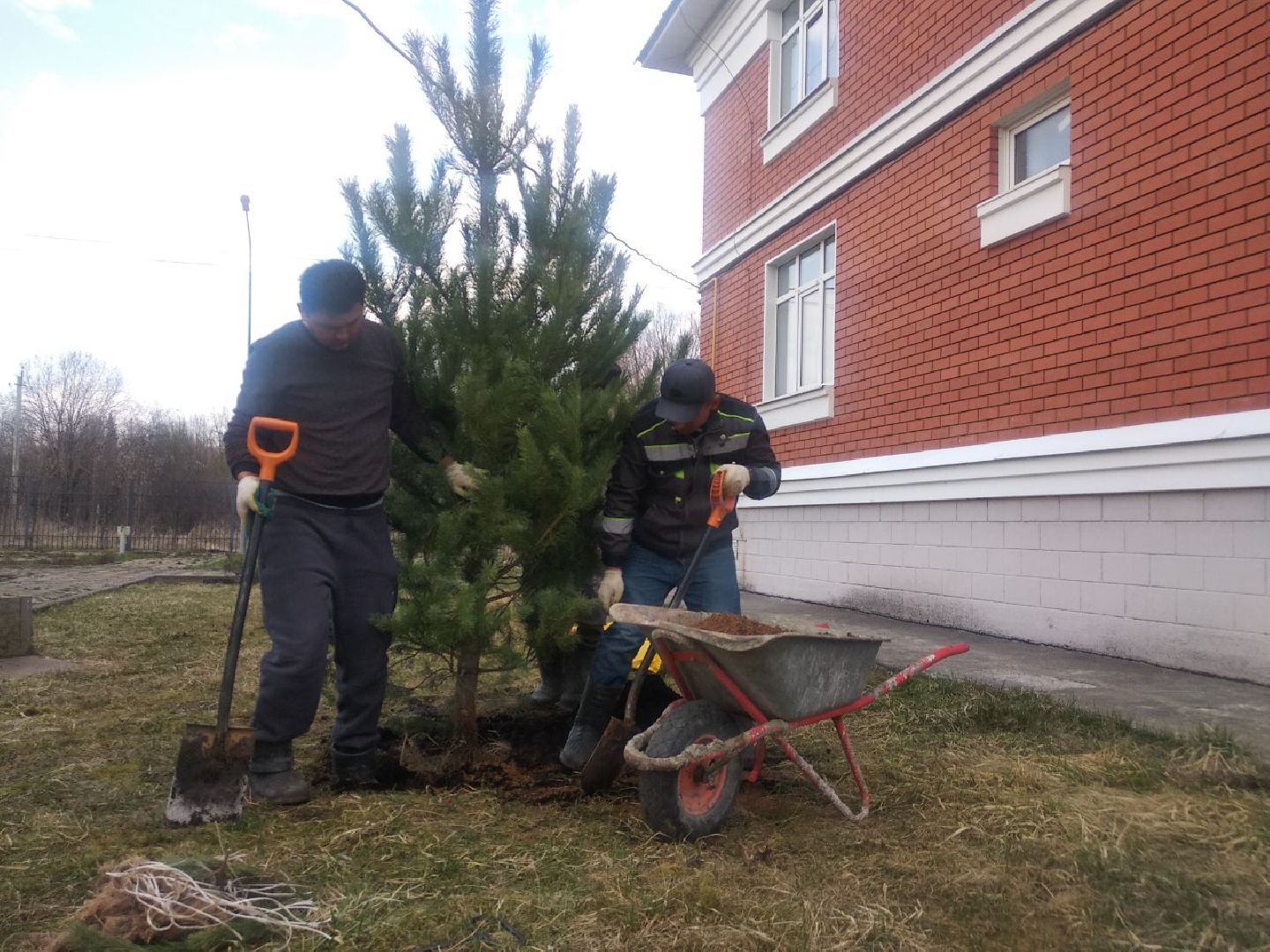 Дмитров, Остров надежды, Минсоцразвития МО