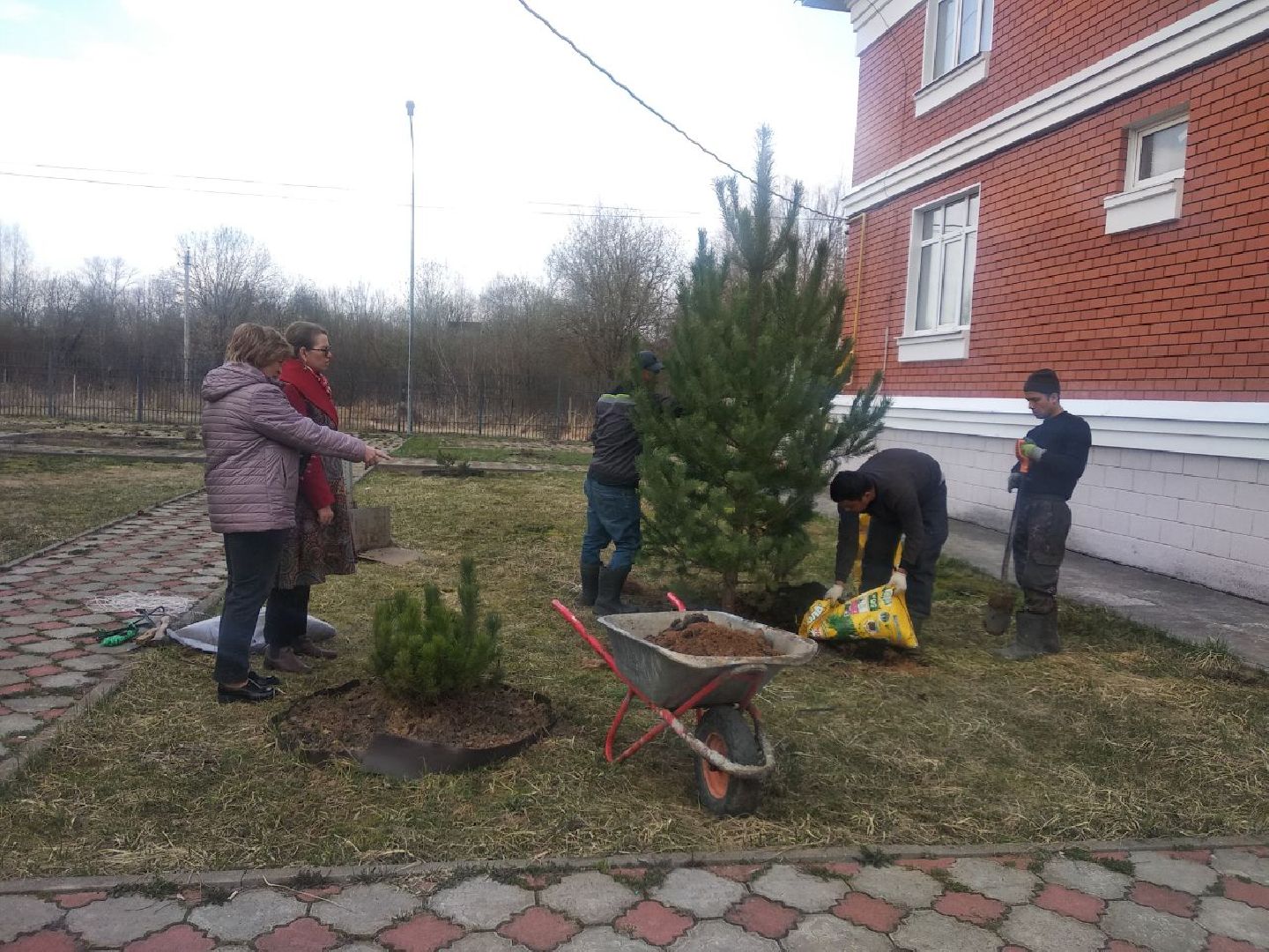 Дмитров, Остров надежды, Минсоцразвития МО