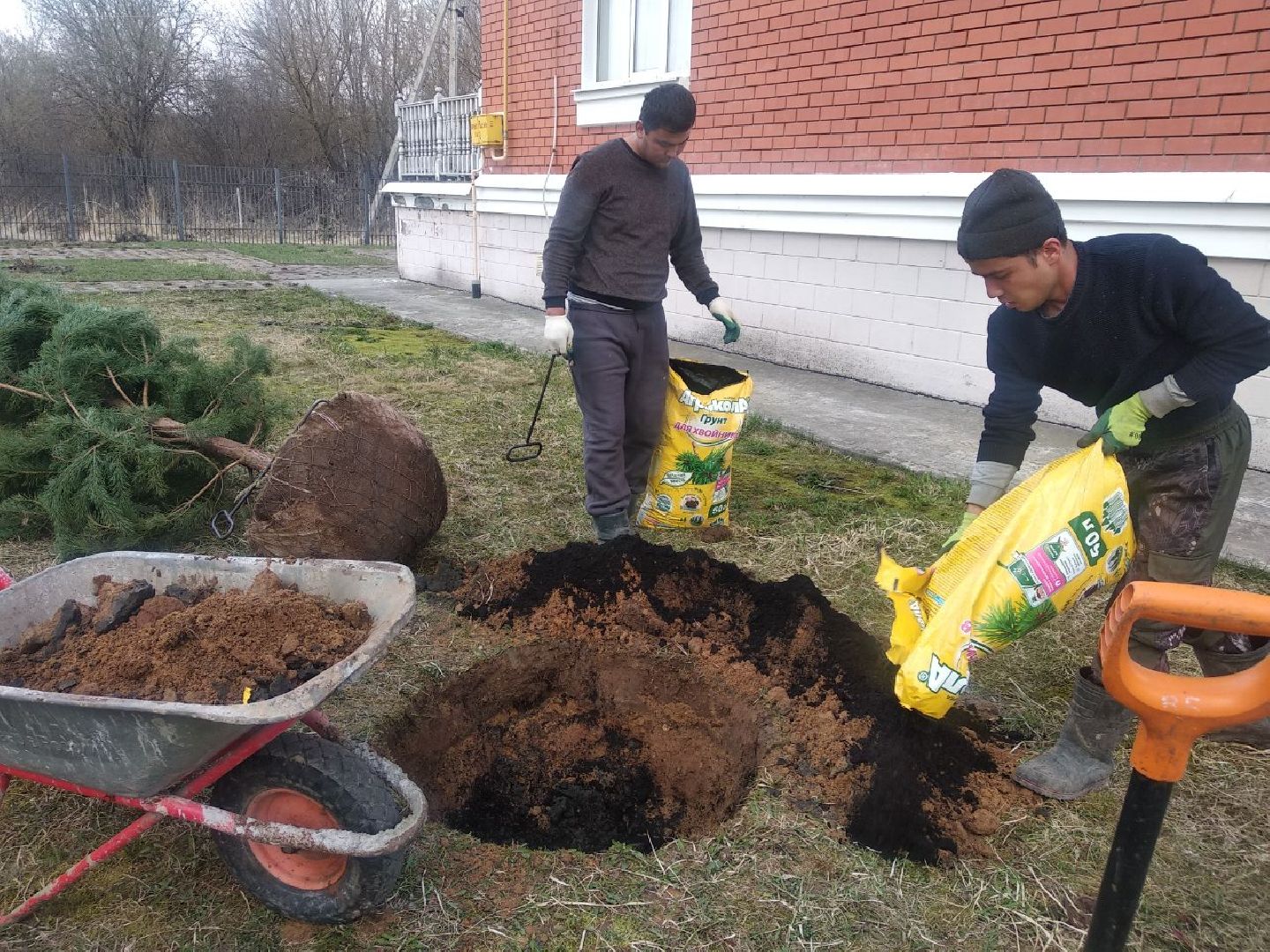 Дмитров, Остров надежды, Минсоцразвития МО