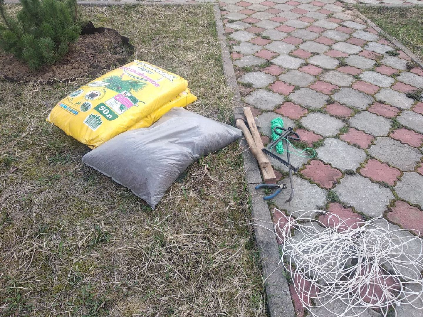 Дмитров, Остров надежды, Минсоцразвития МО