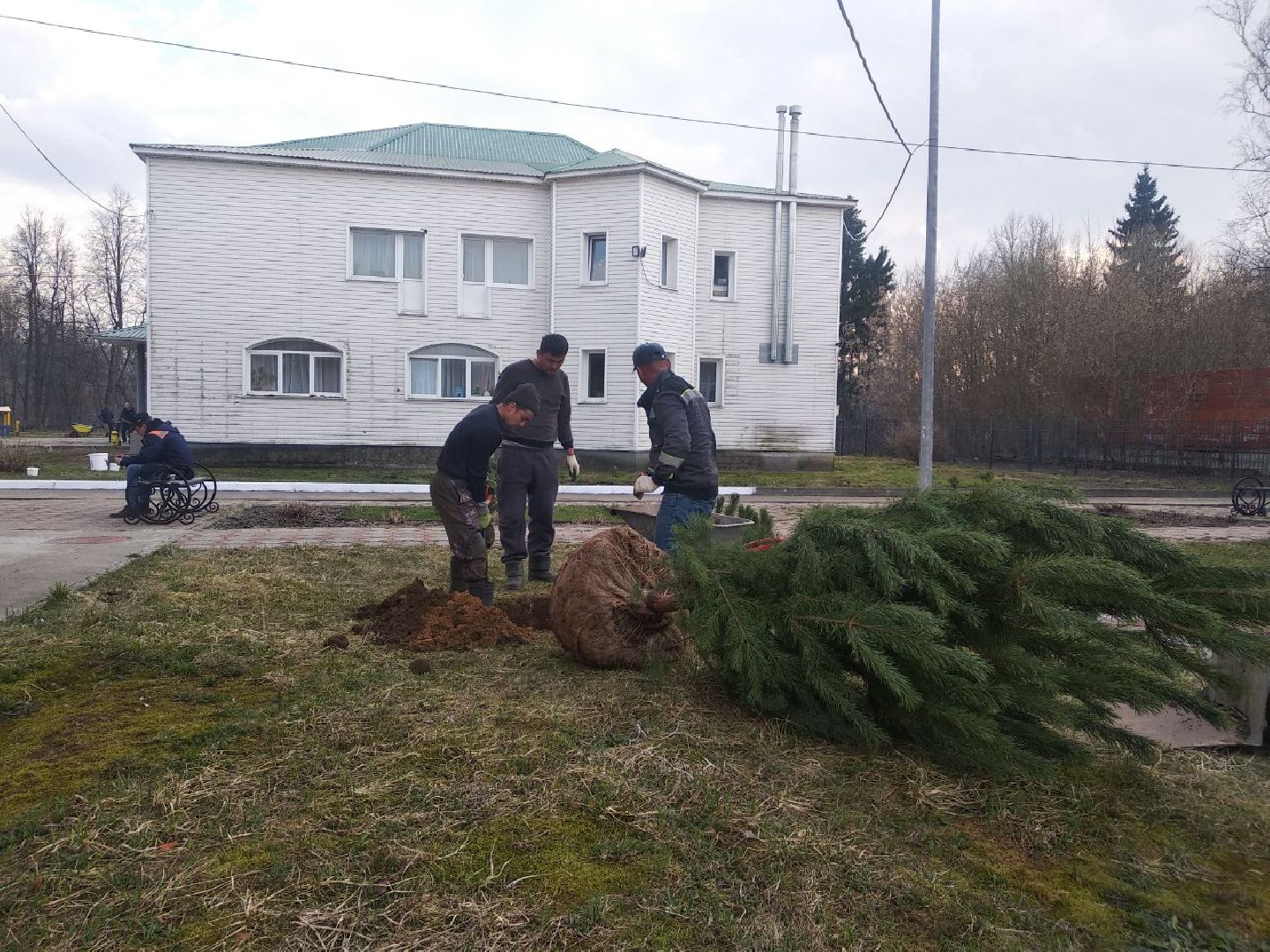Дмитров, Остров надежды, Минсоцразвития МО
