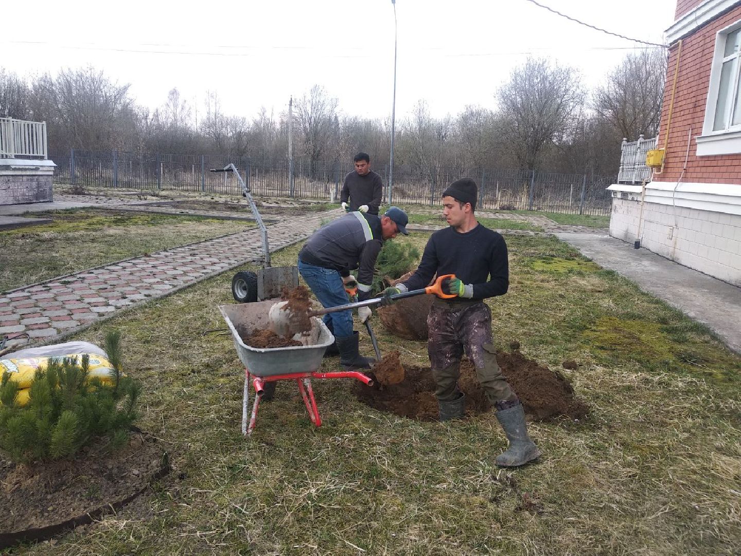 Дмитров, Остров надежды, Минсоцразвития МО
