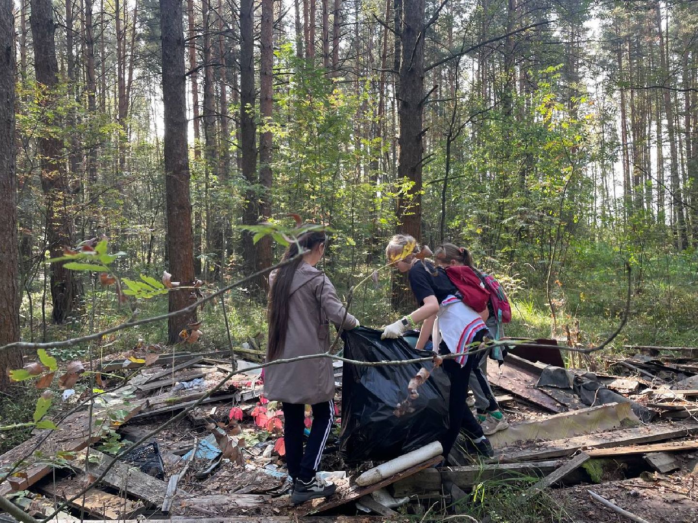 Дмитров, Акция День в лесу, Орудьевское школьное лесничество,