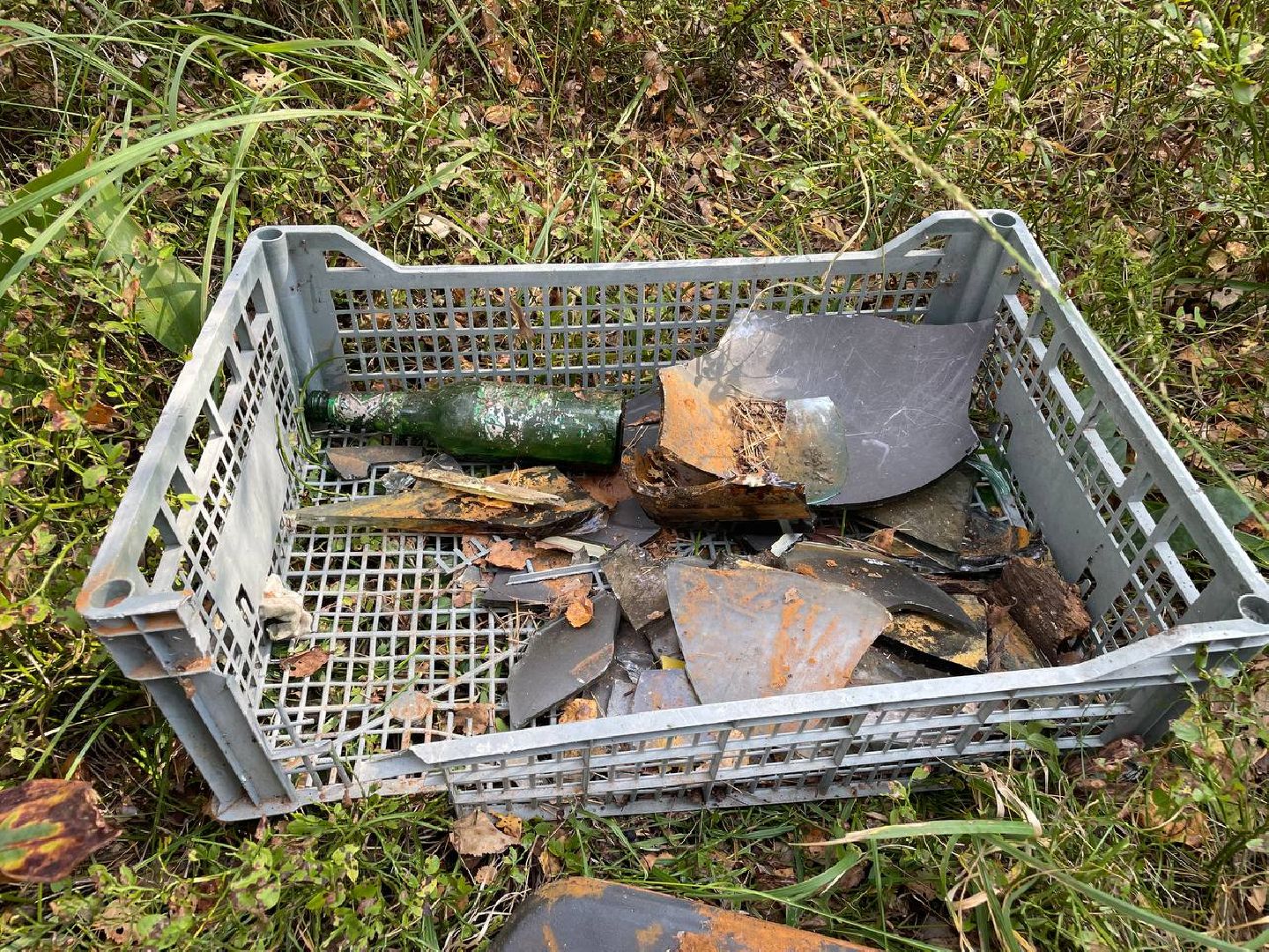 Дмитров, Акция День в лесу, Орудьевское школьное лесничество,