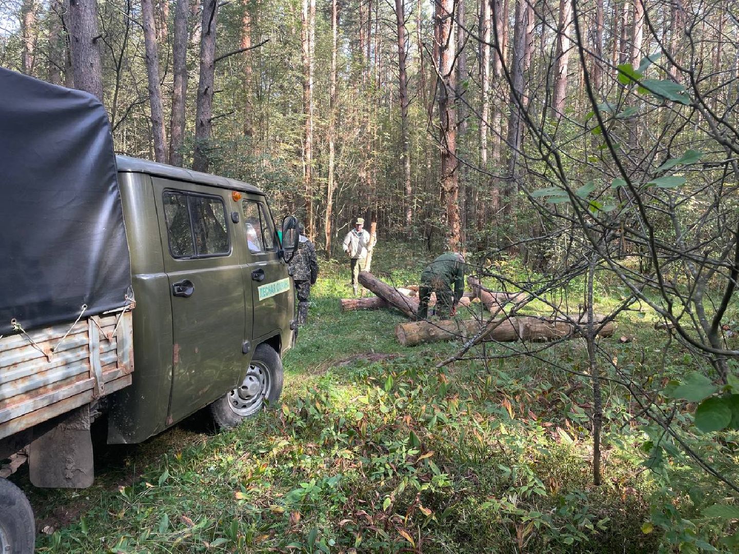 Дмитров, Акция День в лесу, Орудьевское школьное лесничество,