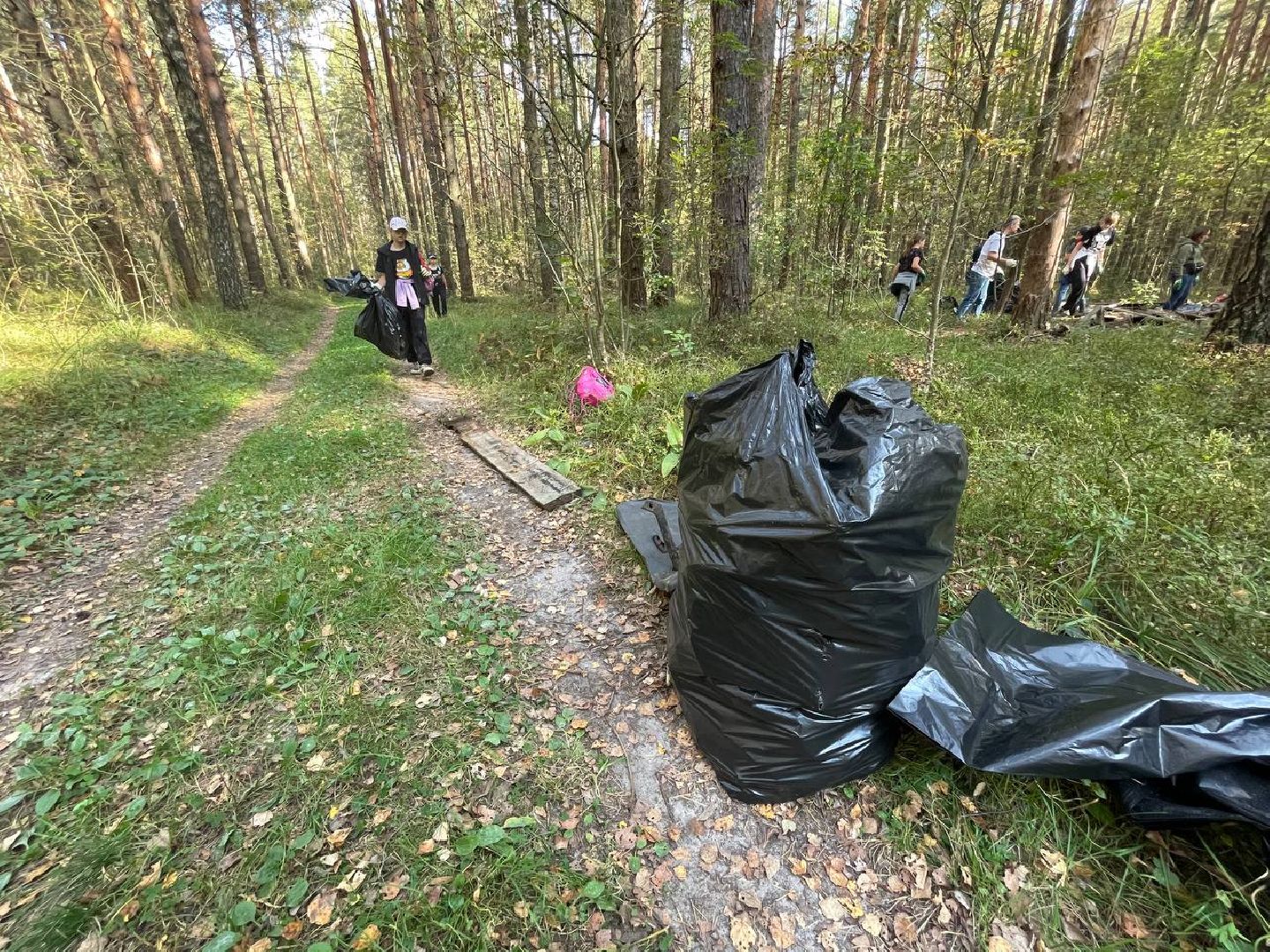 Дмитров, Акция День в лесу, Орудьевское школьное лесничество,