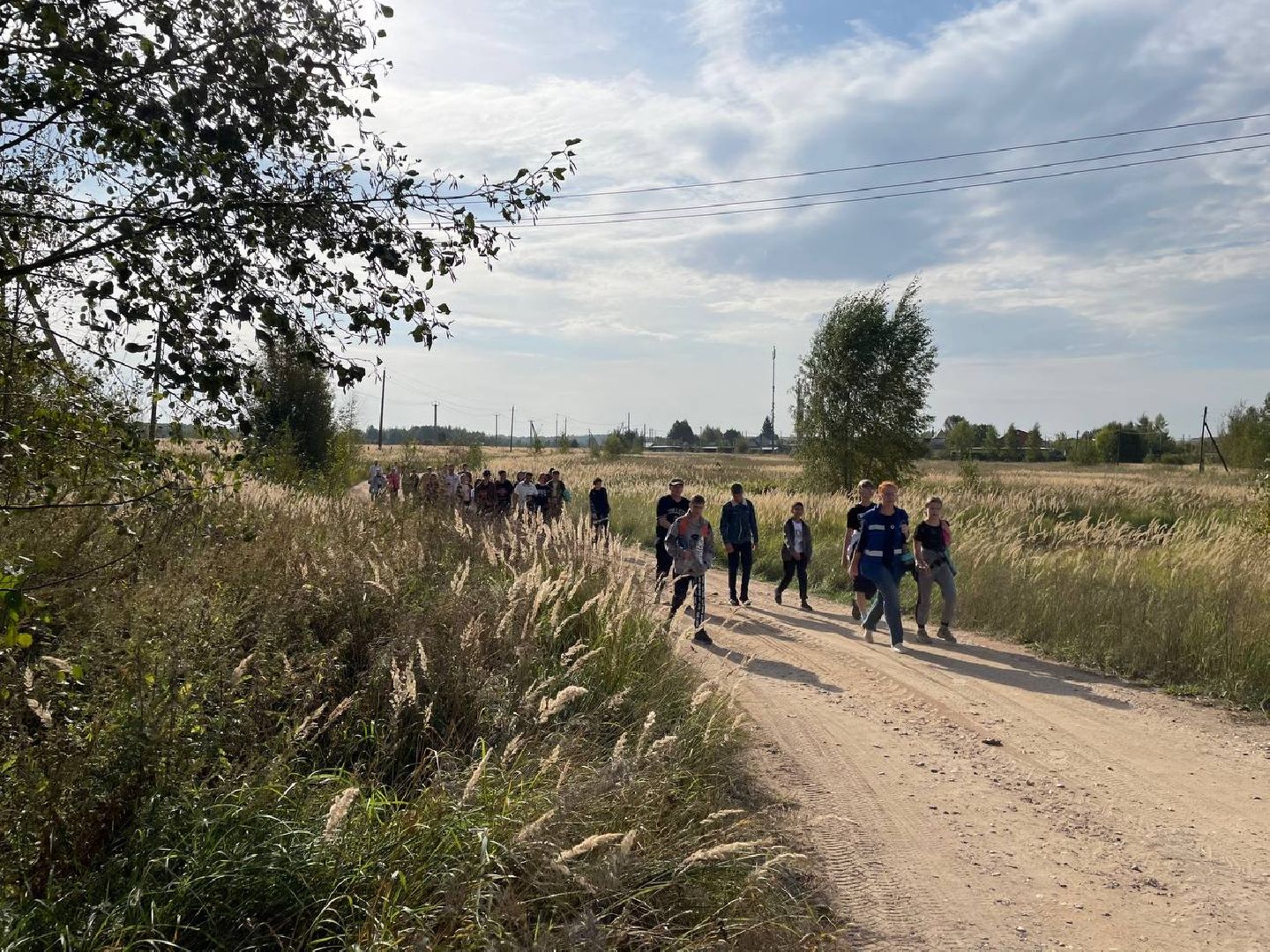 Дмитров, Акция День в лесу, Орудьевское школьное лесничество,