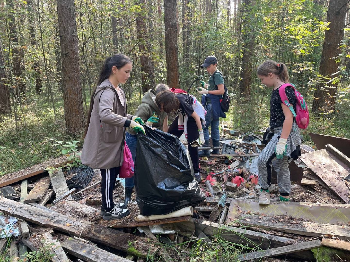 Дмитров, Акция День в лесу, Орудьевское школьное лесничество,