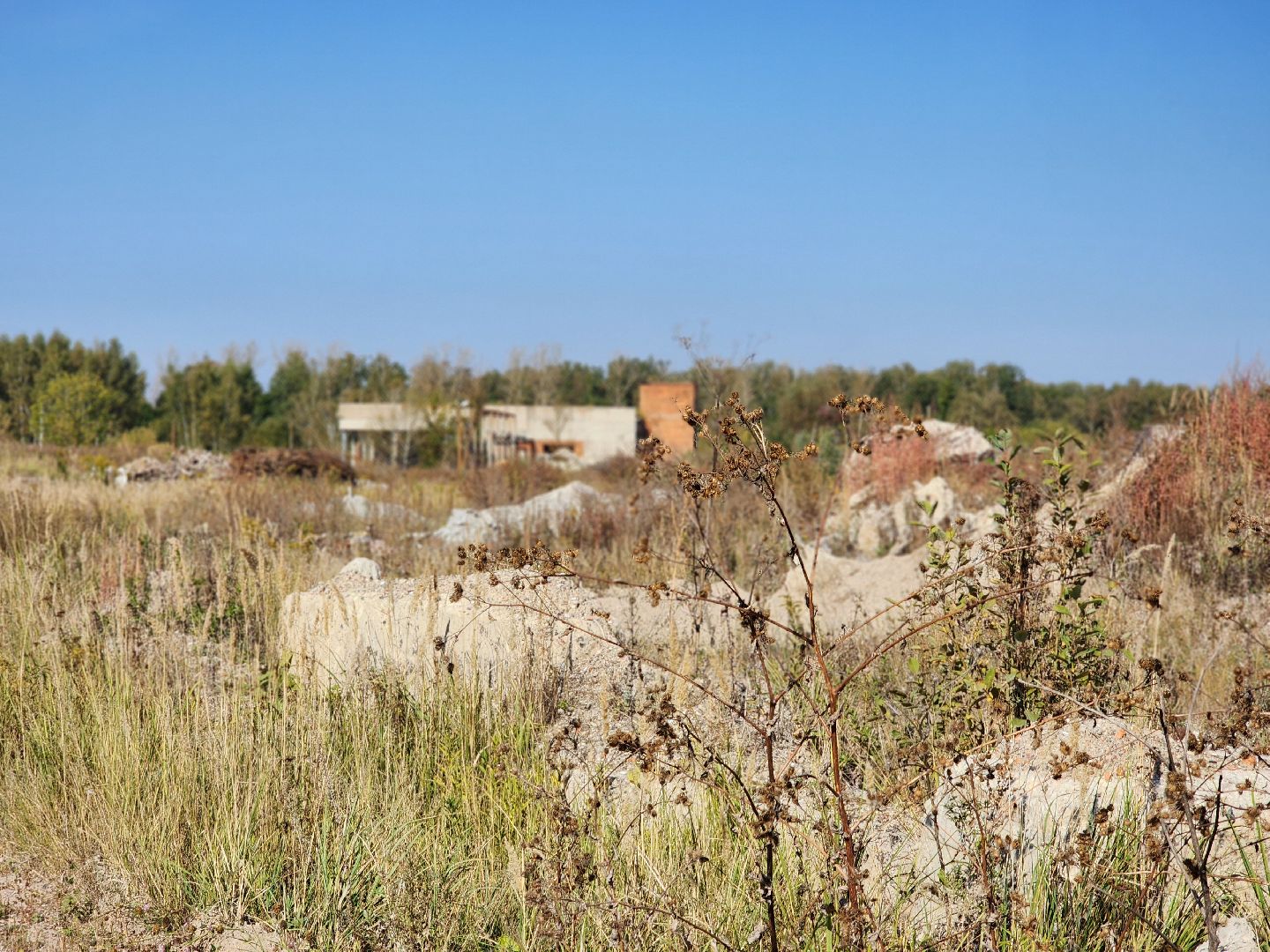 воскресенск, экономика, бизнес,