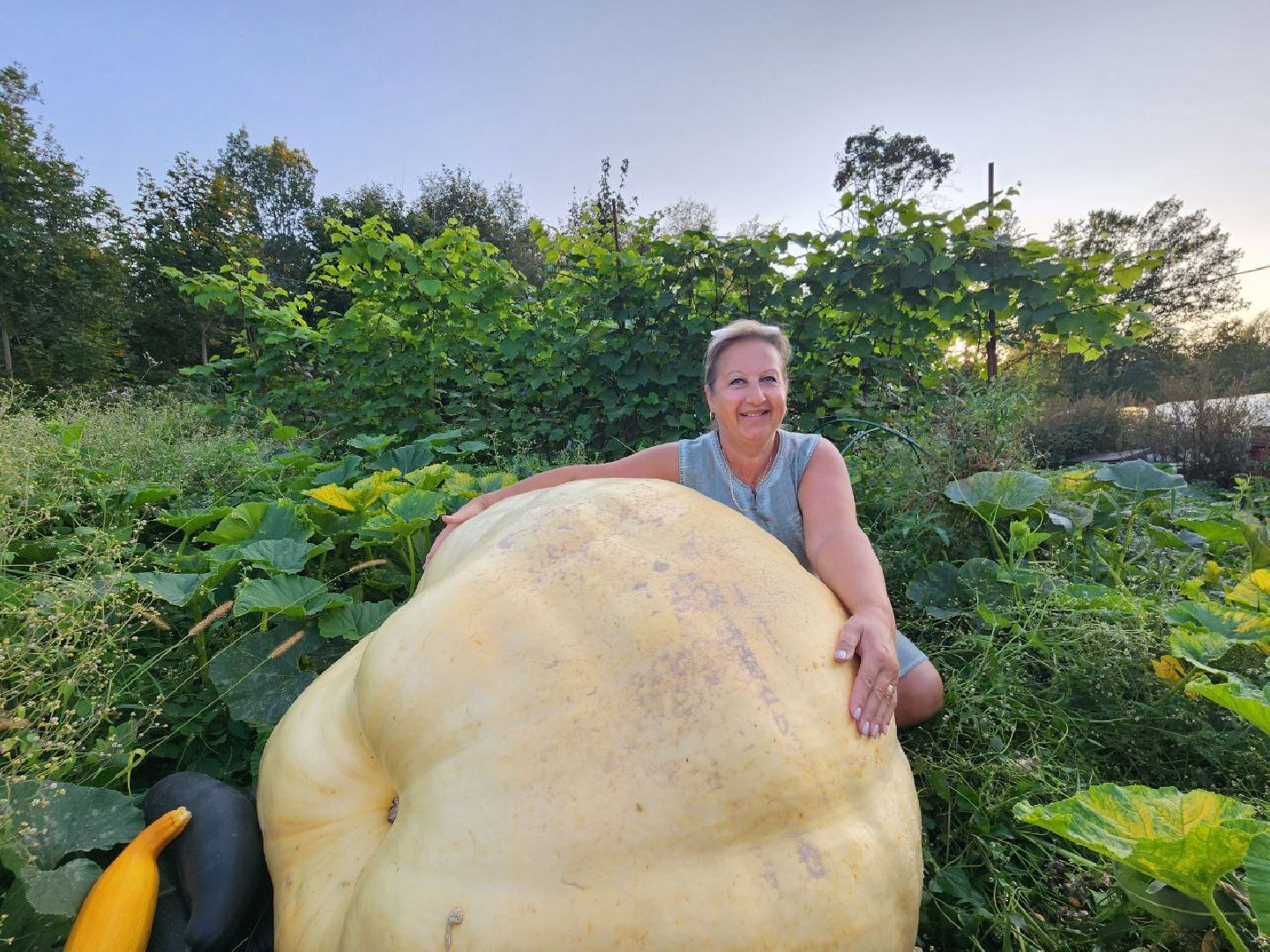 можайск, можайский городской округ, подмосковье, овощи-гиганты, урожай, урожай 2024, помощь, акция, доброе дело, губернатор, благотворительность, сельское хозяйство,