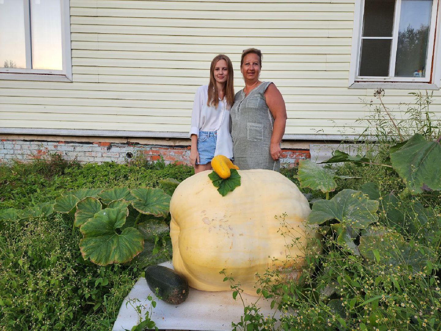 можайск, можайский городской округ, подмосковье, овощи-гиганты, урожай, урожай 2024, помощь, акция, доброе дело, губернатор, благотворительность, сельское хозяйство,
