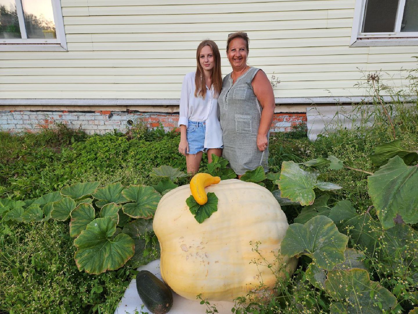 можайск, можайский городской округ, подмосковье, овощи-гиганты, урожай, урожай 2024, помощь, акция, доброе дело, губернатор, благотворительность, сельское хозяйство,