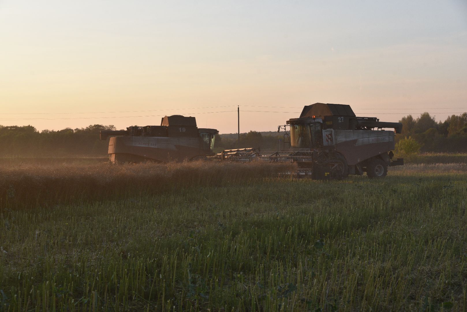 лотошино, урожай 2024, сельское хозяйство,