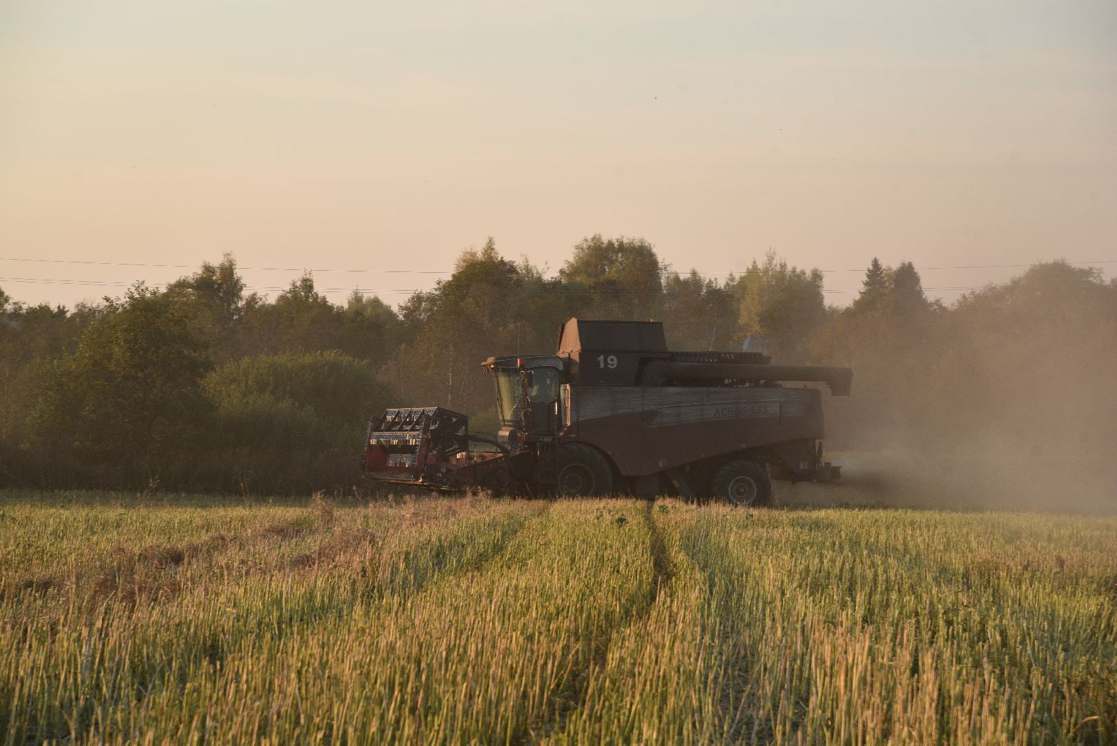 лотошино, урожай 2024, сельское хозяйство,