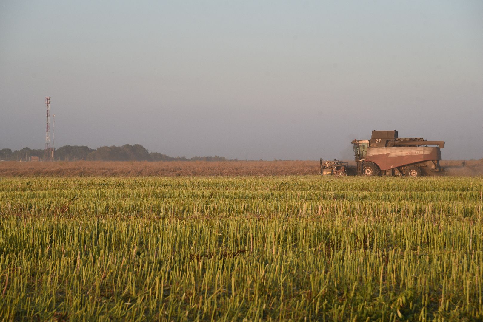 лотошино, урожай 2024, сельское хозяйство,