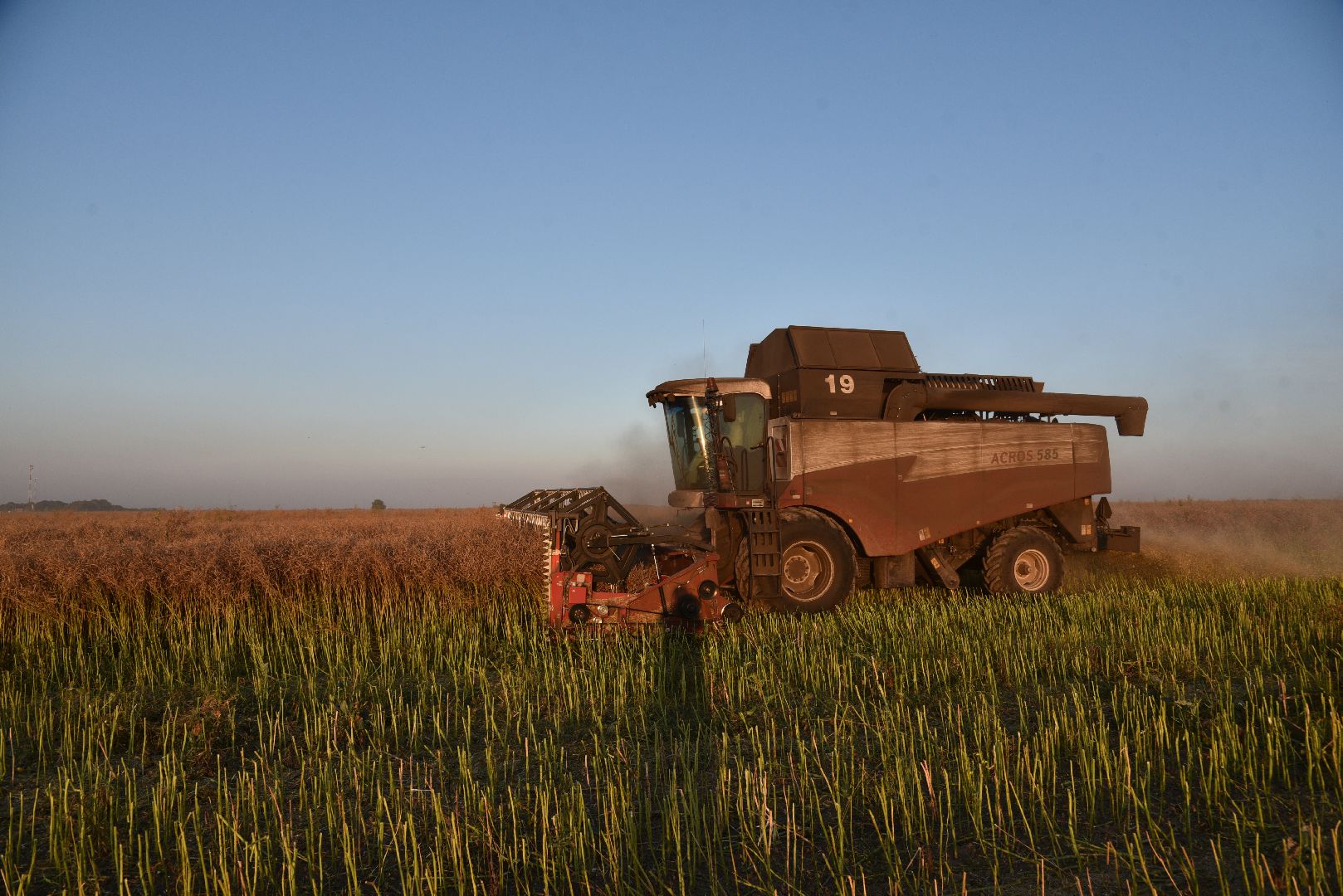 лотошино, урожай 2024, сельское хозяйство,